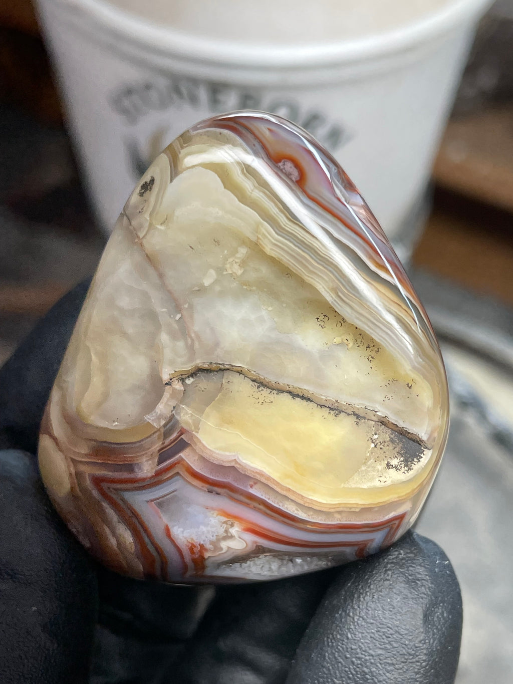StoneBorn Banded Agate with Natural Druzy Pocket