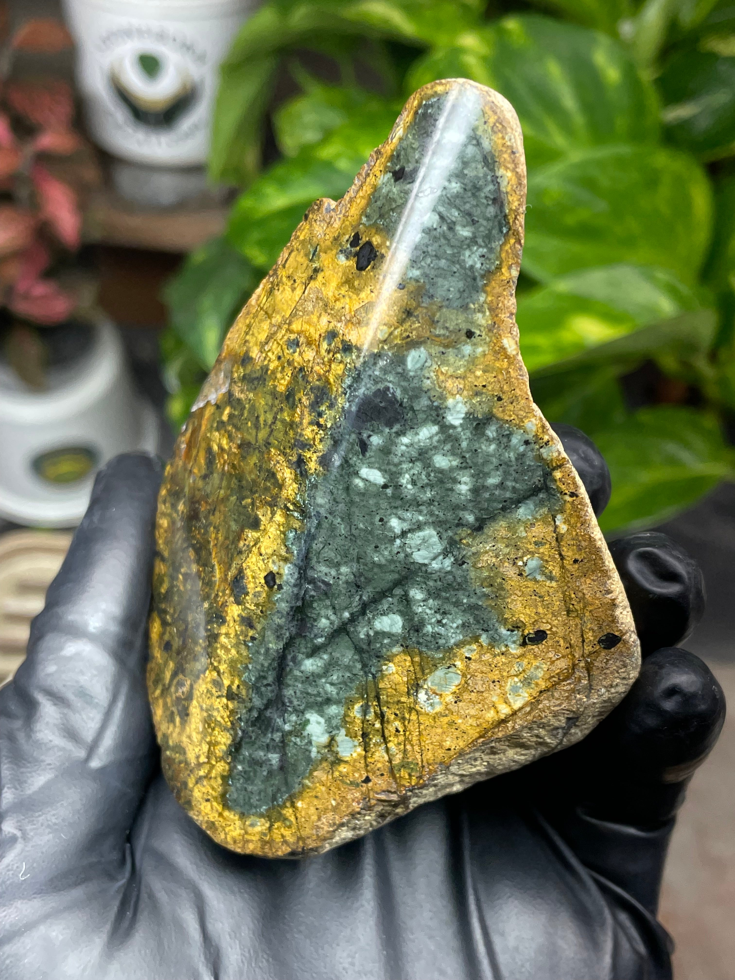 StoneBorn Creations Hand-Polished Vermont Greenstone with Golden Earth Matrix, Speckled Mineral Inclusions & Freeform Curved Finish