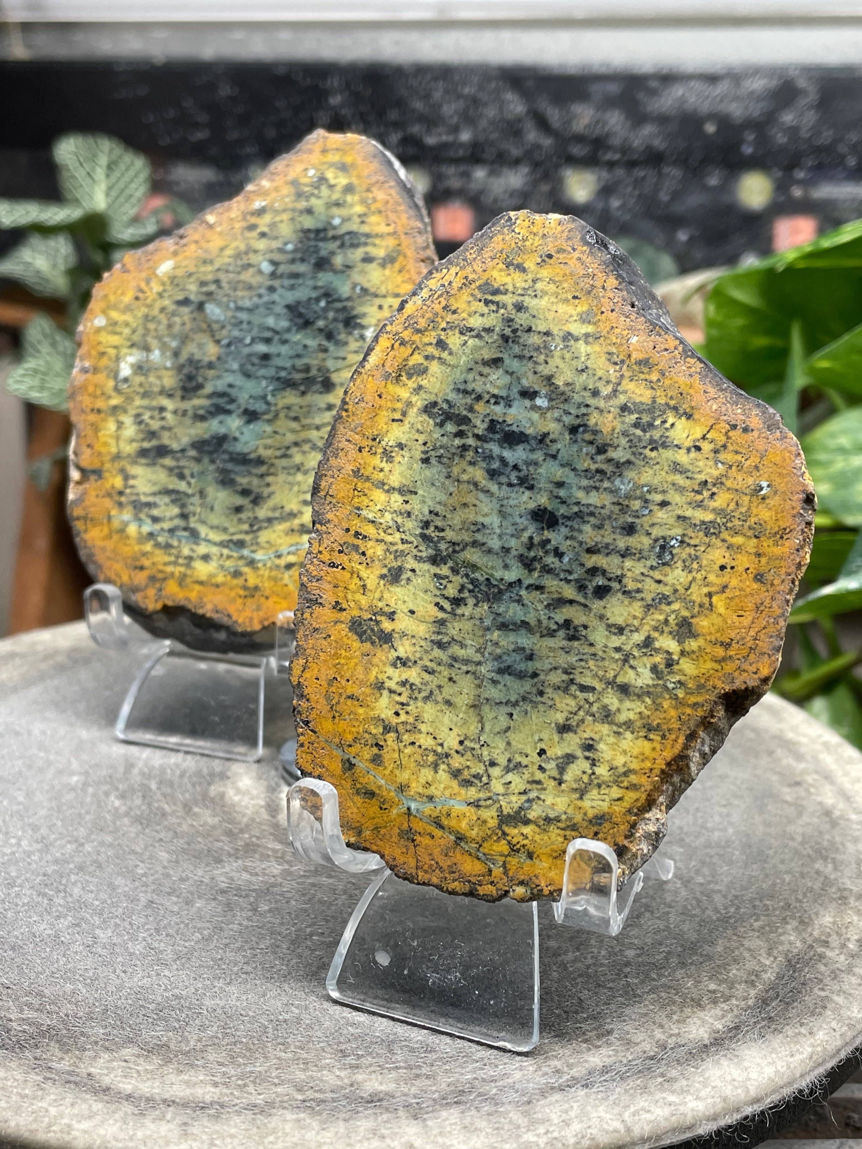 StoneBorn Creations Hand-Polished Vermont Greenstone Pair with Earthy Ochre Weathering and Natural Black Mineral Patterning – Freeform Display Halves
