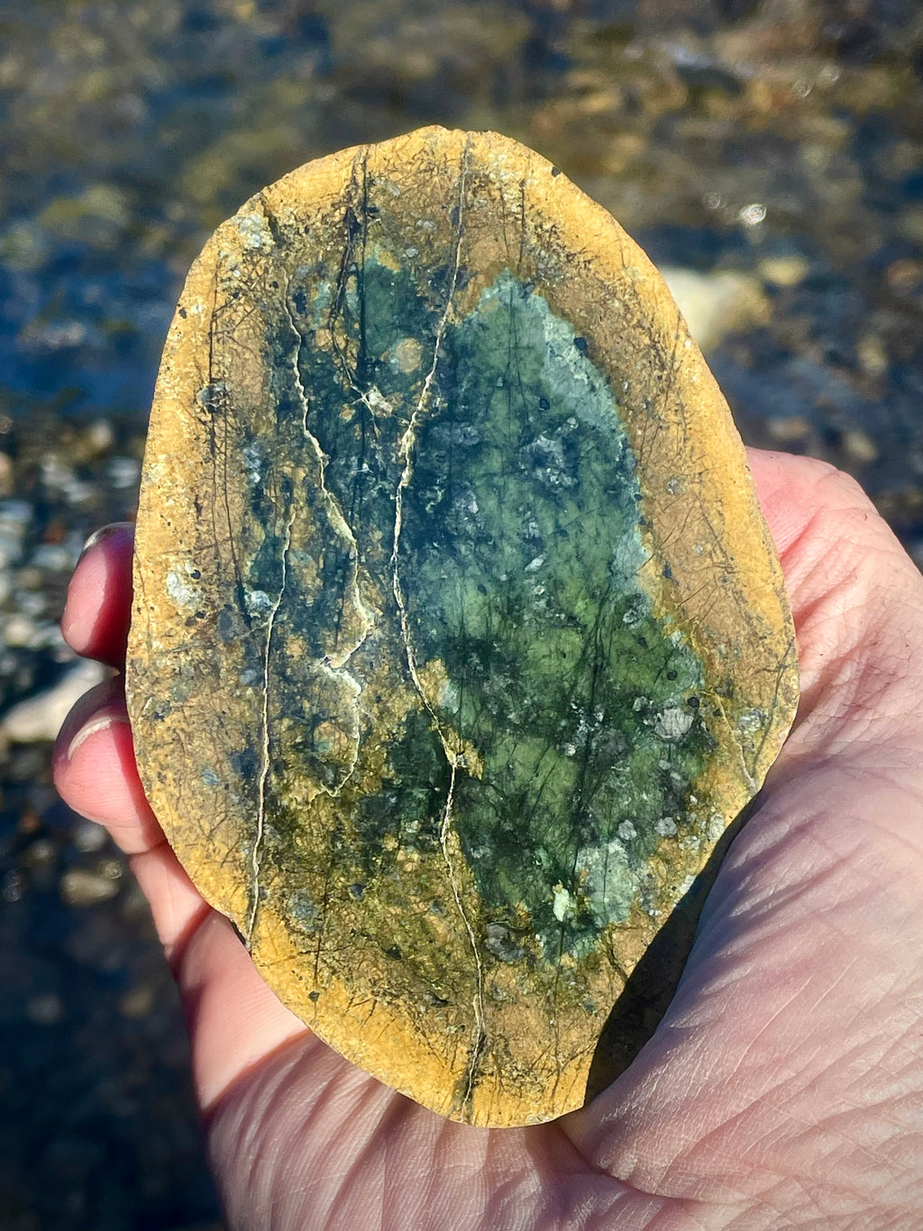 Polished Serpentine Slice • Deep Green Core With Golden Matrix Veins