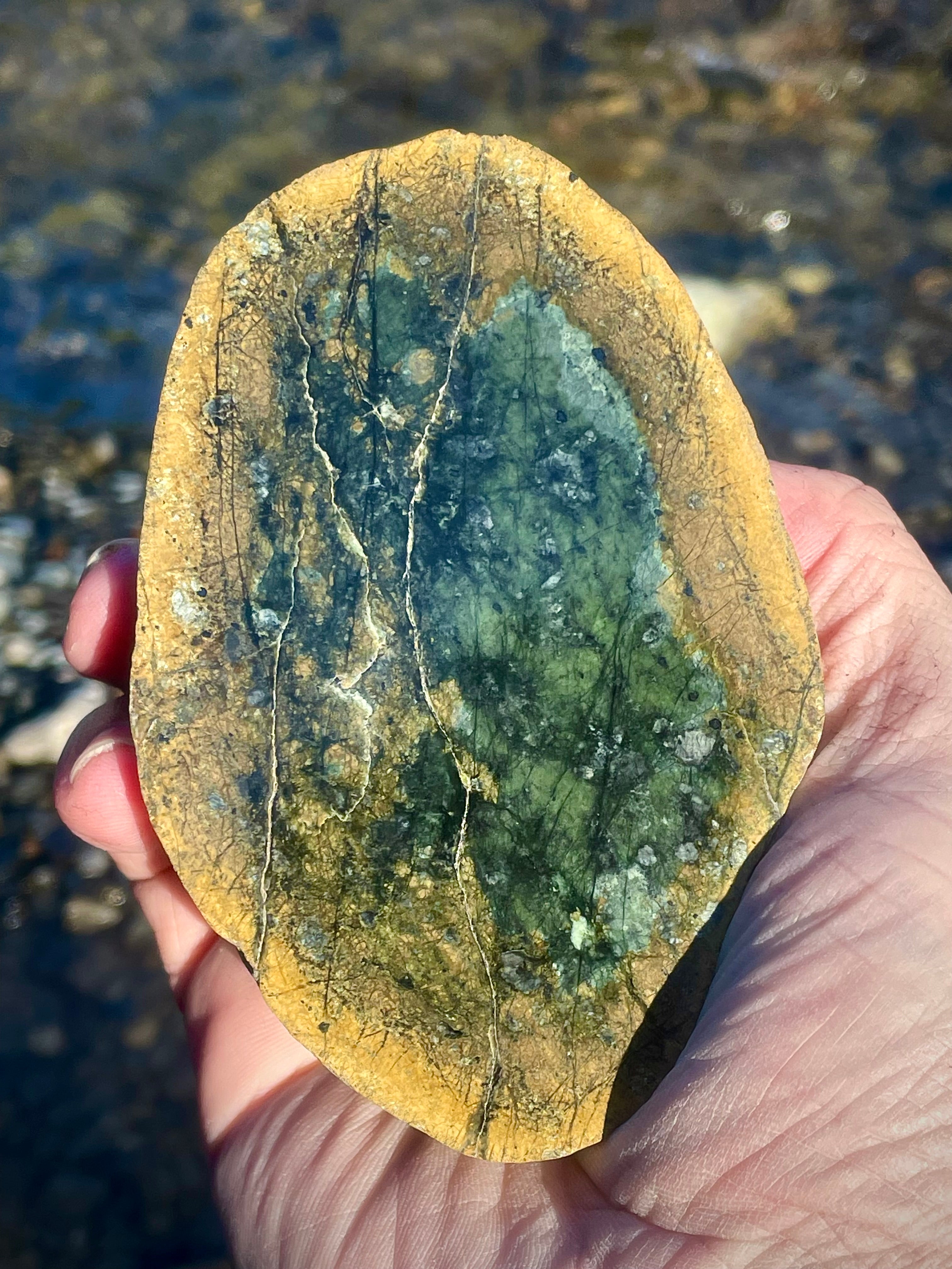 Polished Serpentine Slice • Deep Green Core With Golden Matrix Veins