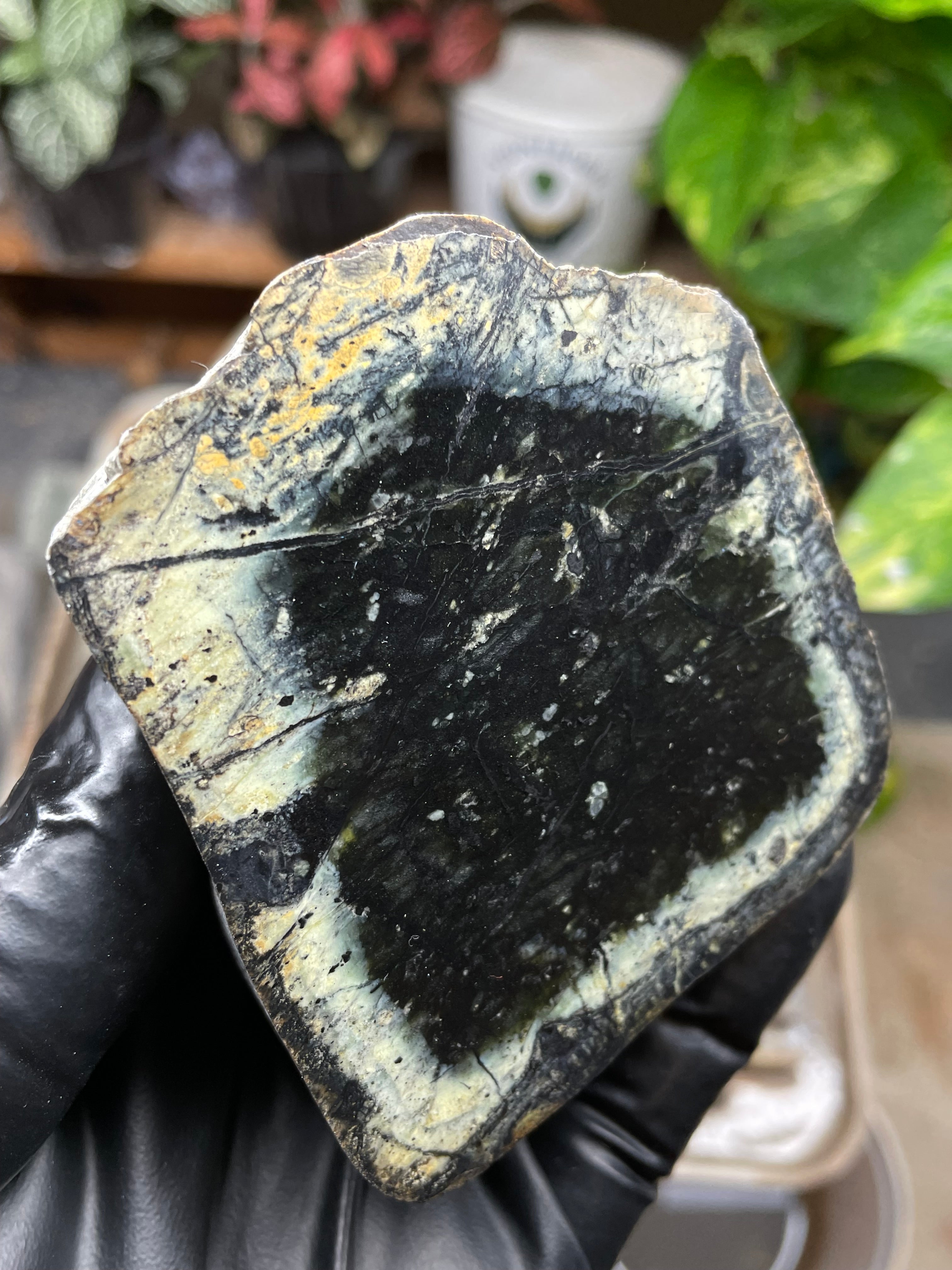 StoneBorn Creations Hand-Polished Vermont Serpentine Pair – River-Cut Matching Halves with Dark Core & Natural Green Halo