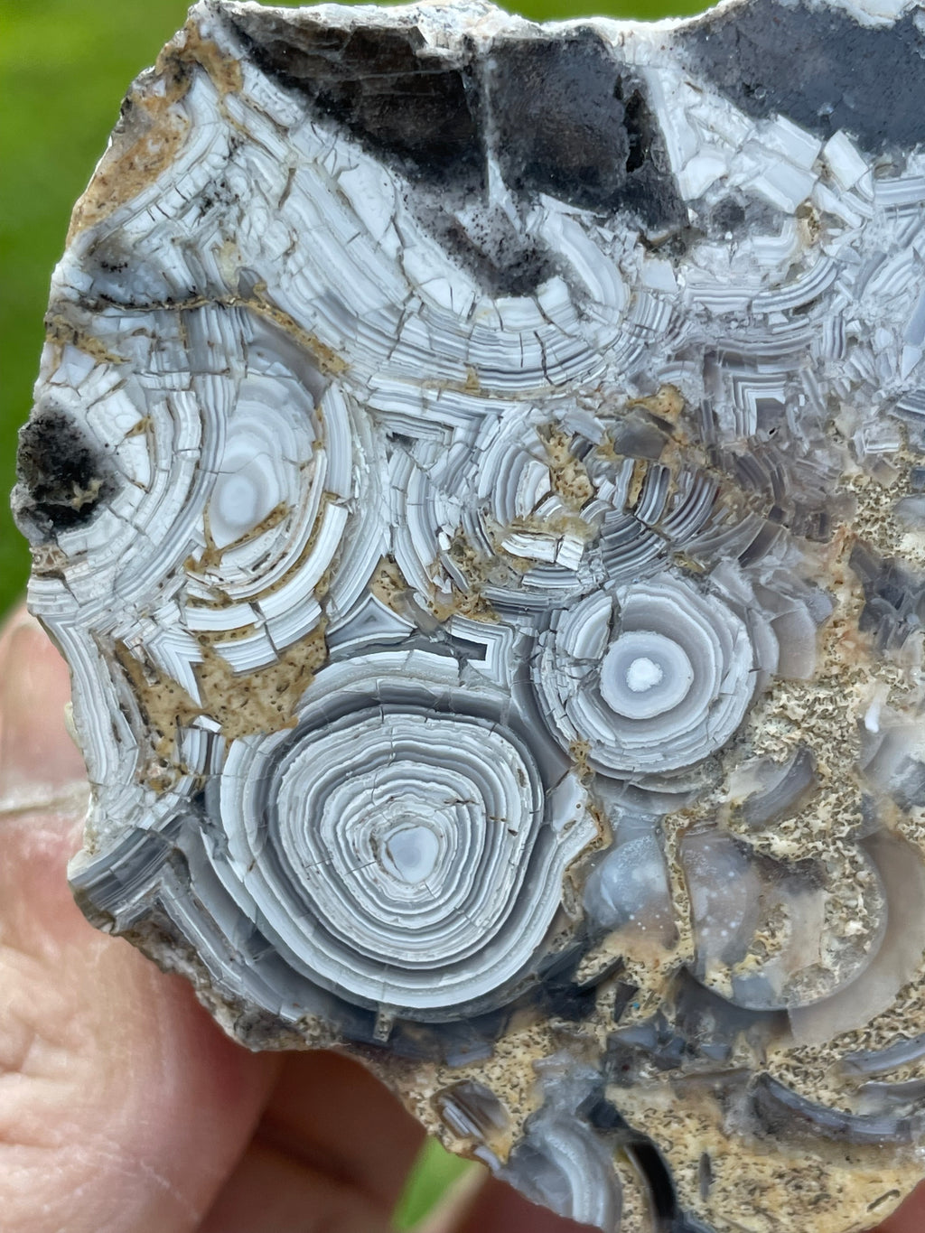 StoneBorn Creations Hand-Polished Tuxedo Lace Agate Bookmatched Pair | One-of-a-Kind Natural Display Stones