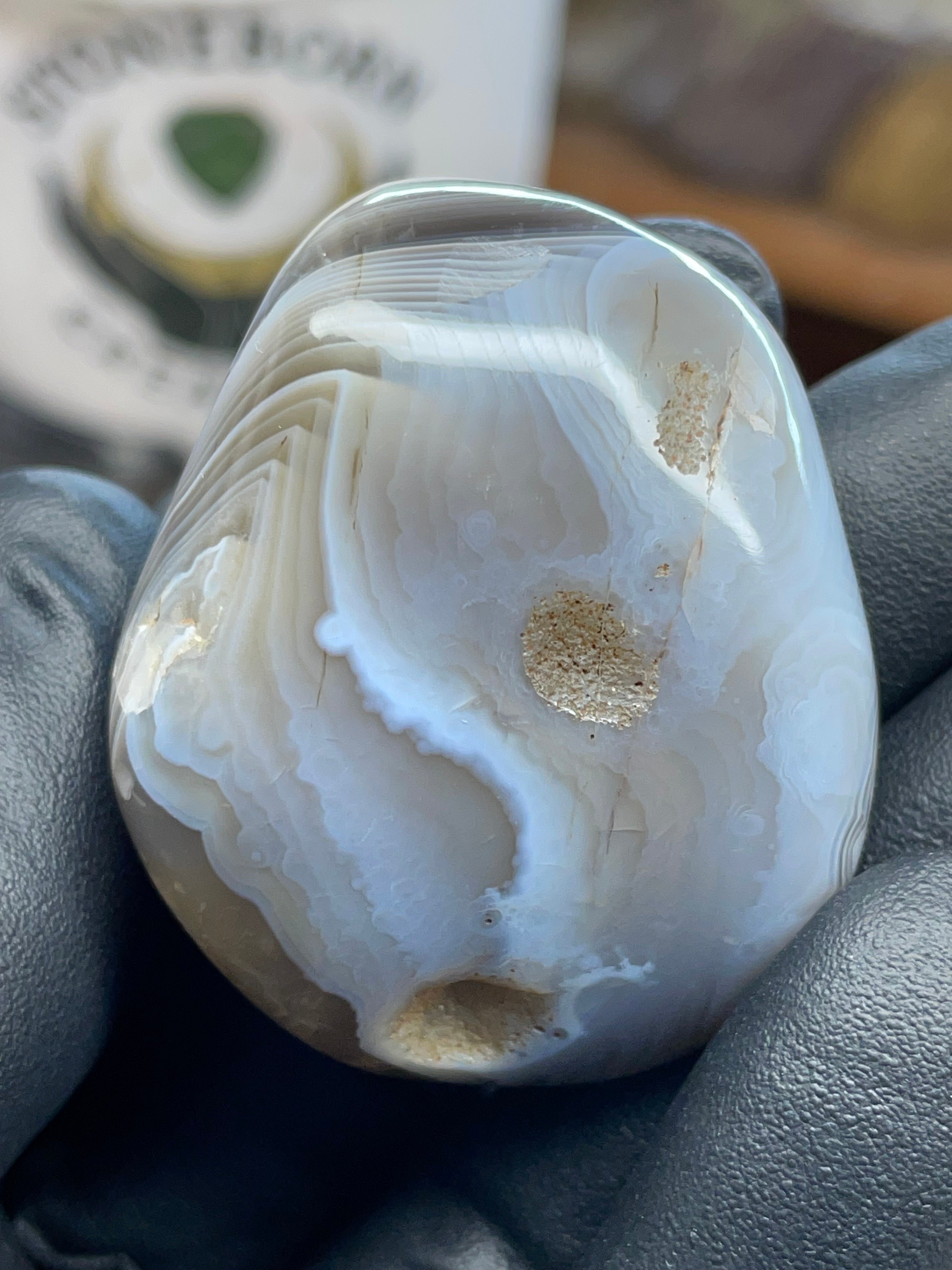 Hand-Polished Botswana Agate | StoneBorn Creations