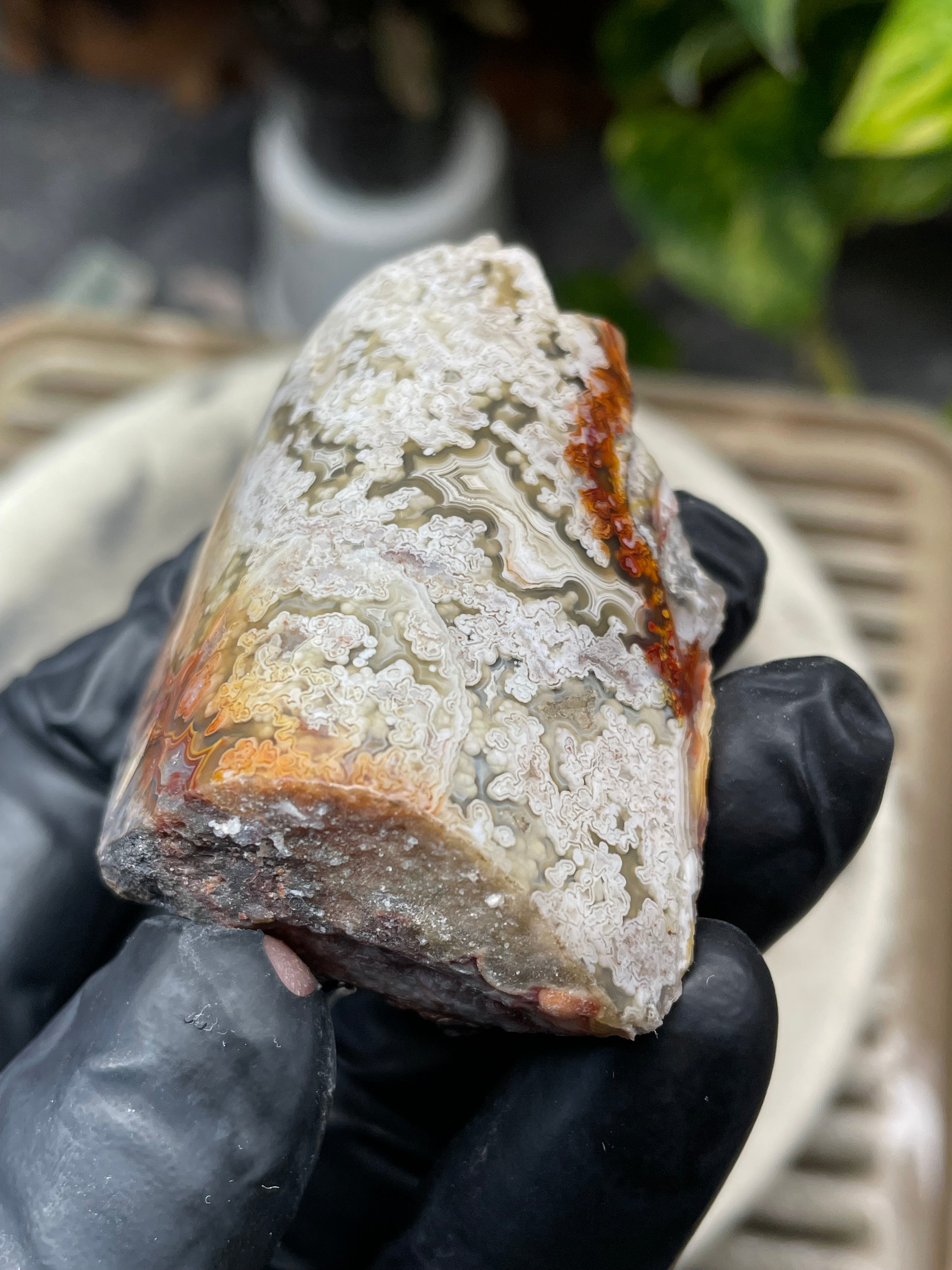 StoneBorn Creations Hand-Polished Lace Agate with Intricate White Plume Banding, Earth Tones & Natural Freeform Finish