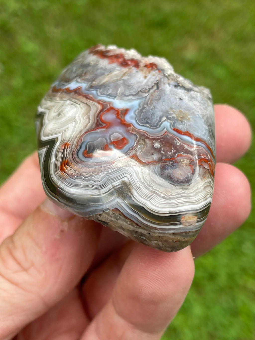 StoneBorn Creations Hand-Polished Curved Lace Agate Freeform with Natural Druzy Quartz Pocket and Fortification Banding