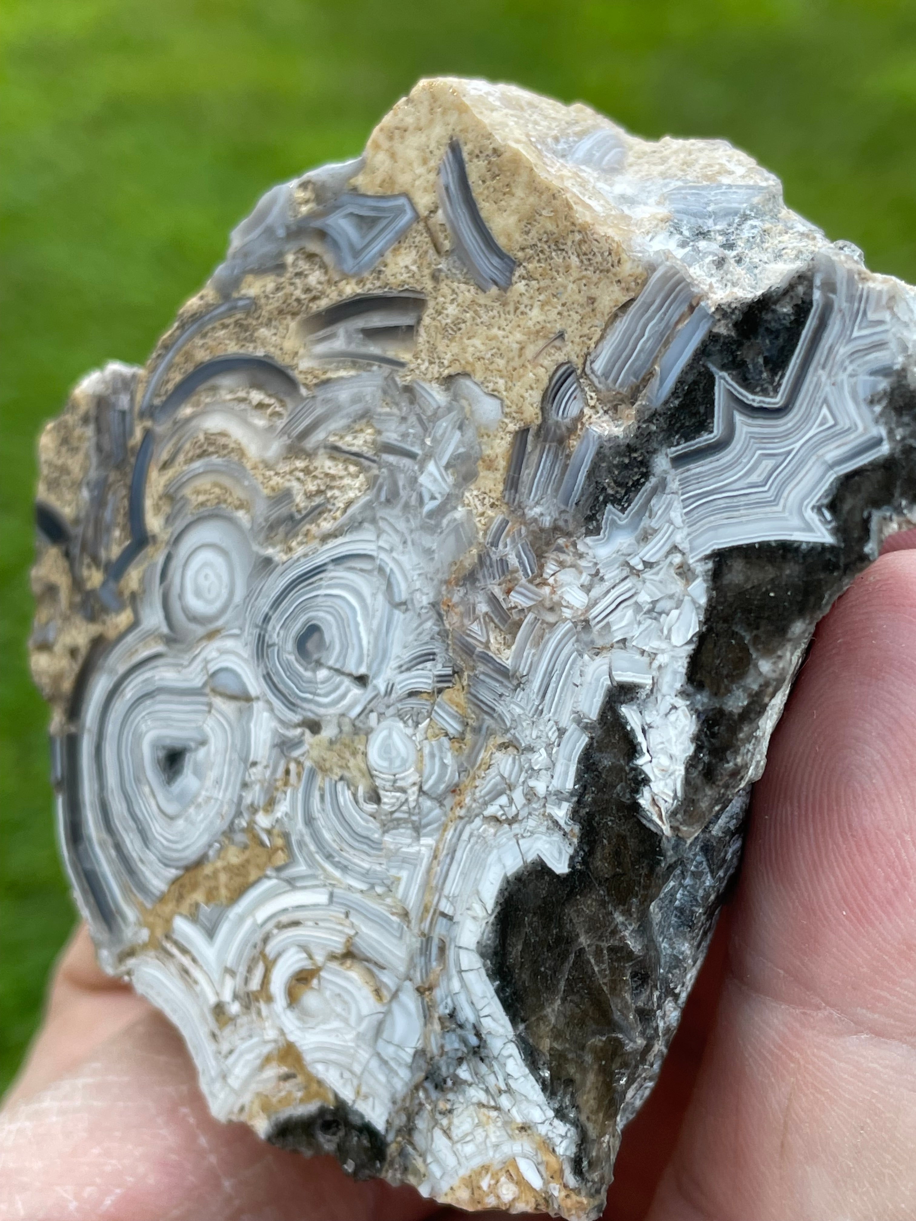 StoneBorn Creations Hand-Polished Tuxedo Lace Agate Bookmatched Pair | One-of-a-Kind Natural Display Stones