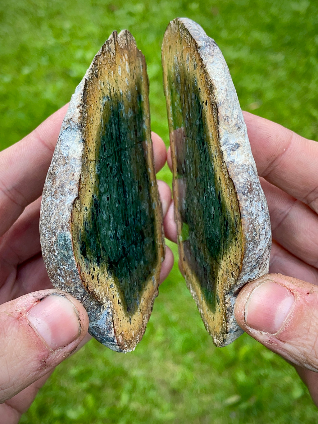 StoneBorn Creations – Deep Green Serpentine Stone Pair | Natural Matching Halves with Golden Earth Tones