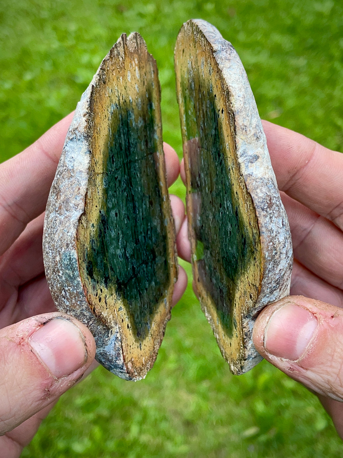StoneBorn Creations – Deep Green Serpentine Stone Pair | Natural Matching Halves with Golden Earth Tones