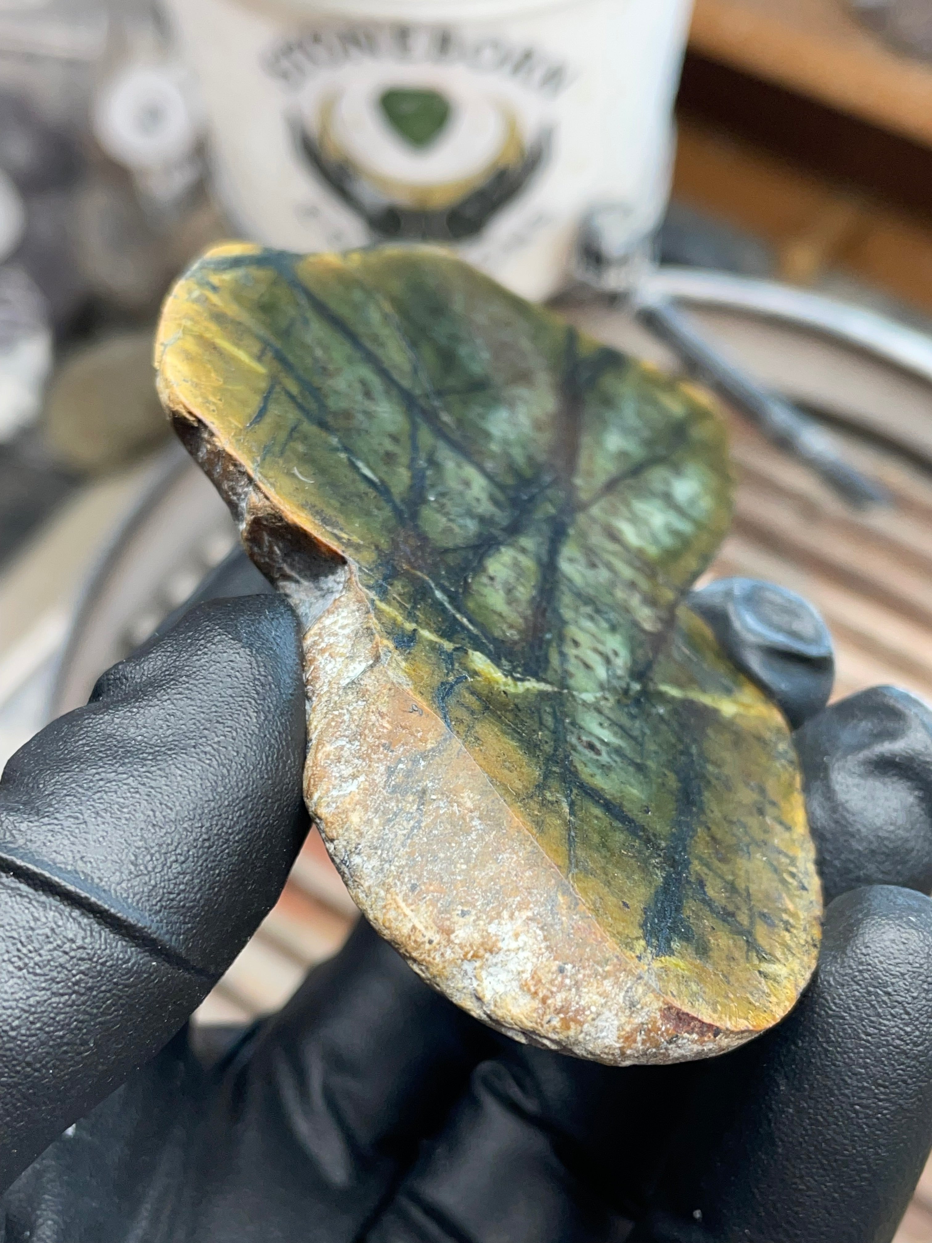 Hand-Collected Veined Serpentine Slab | Raw & Refined StoneBorn Specimen