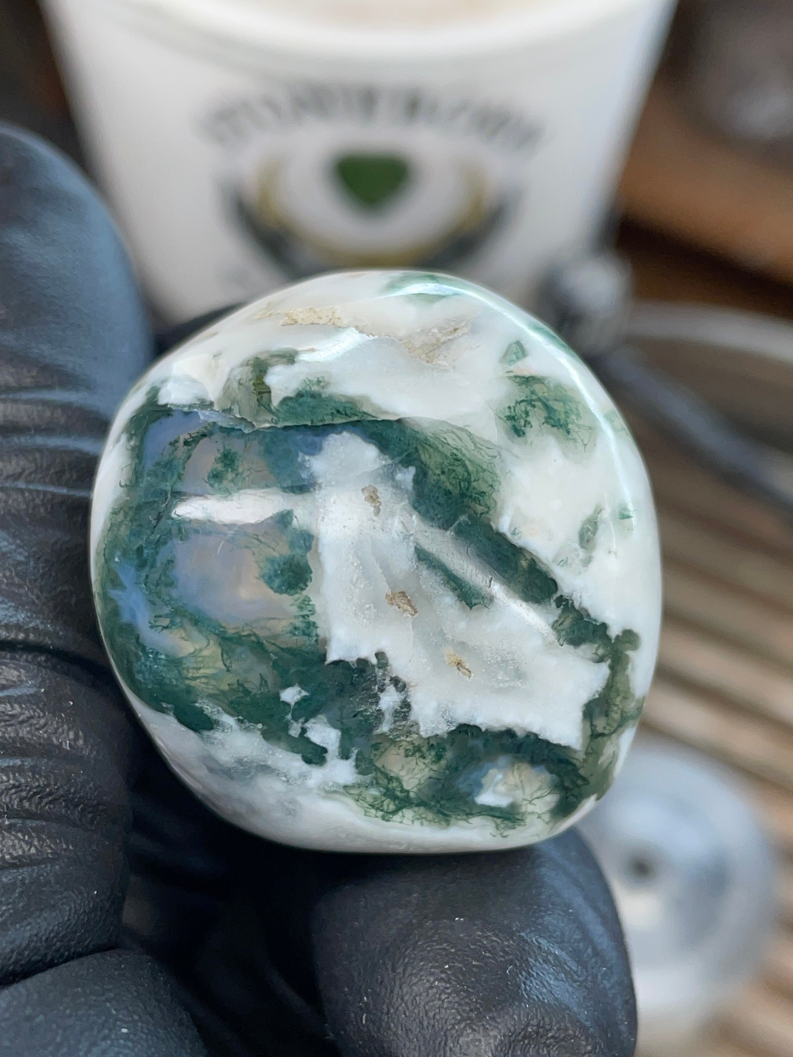 Tree Agate — Hand Polished Stone