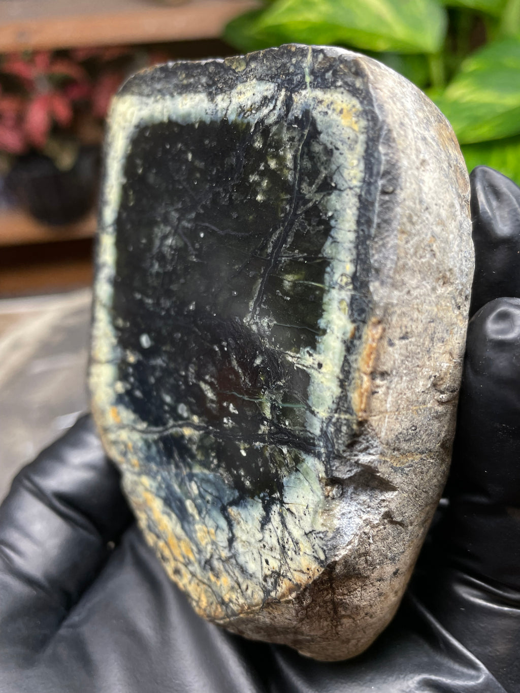 StoneBorn Creations Hand-Polished Vermont Serpentine Pair – River-Cut Matching Halves with Dark Core & Natural Green Halo