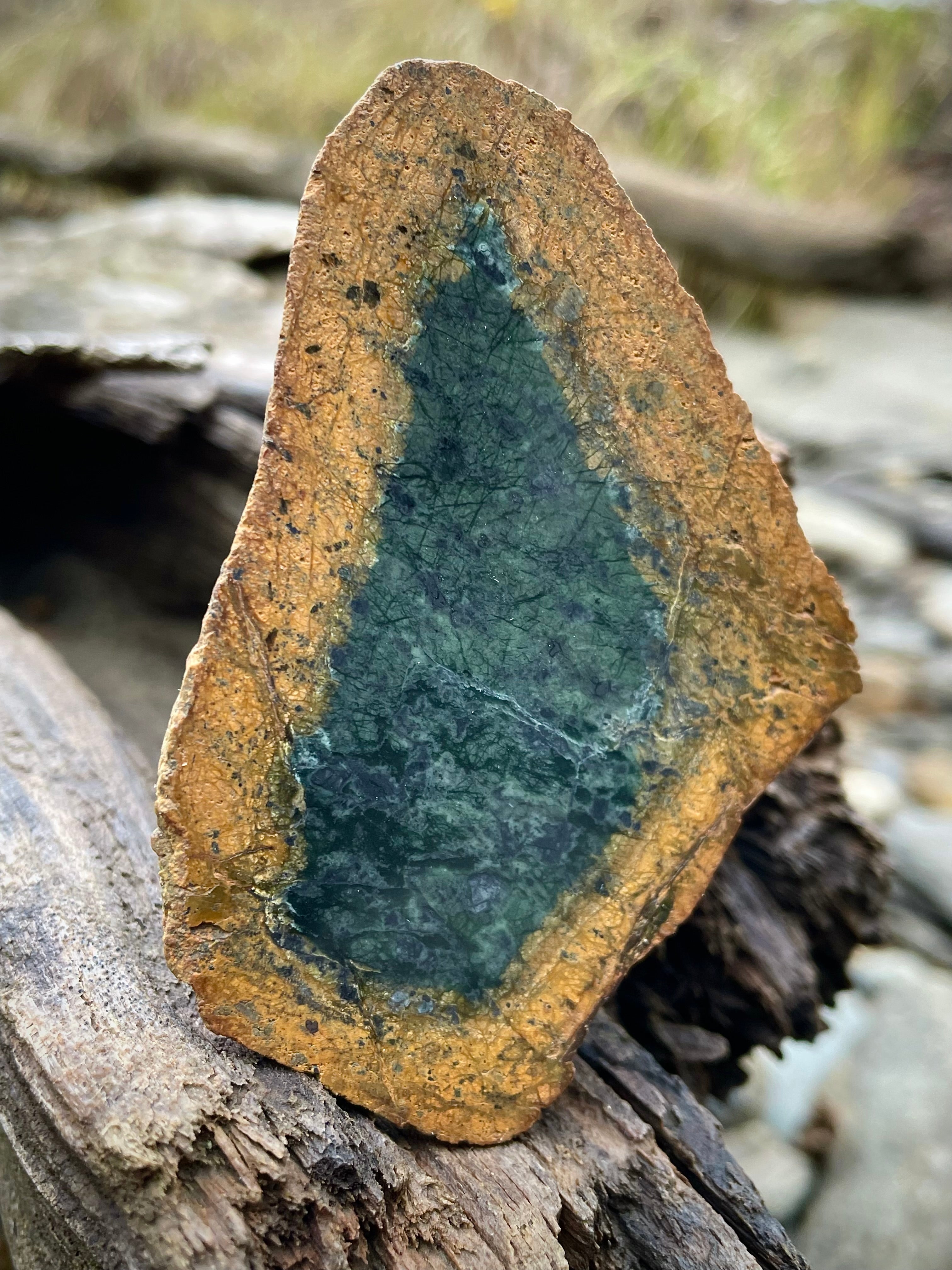 🌲 Vermont Green Serpentine Core Slice – Natural Golden Rind