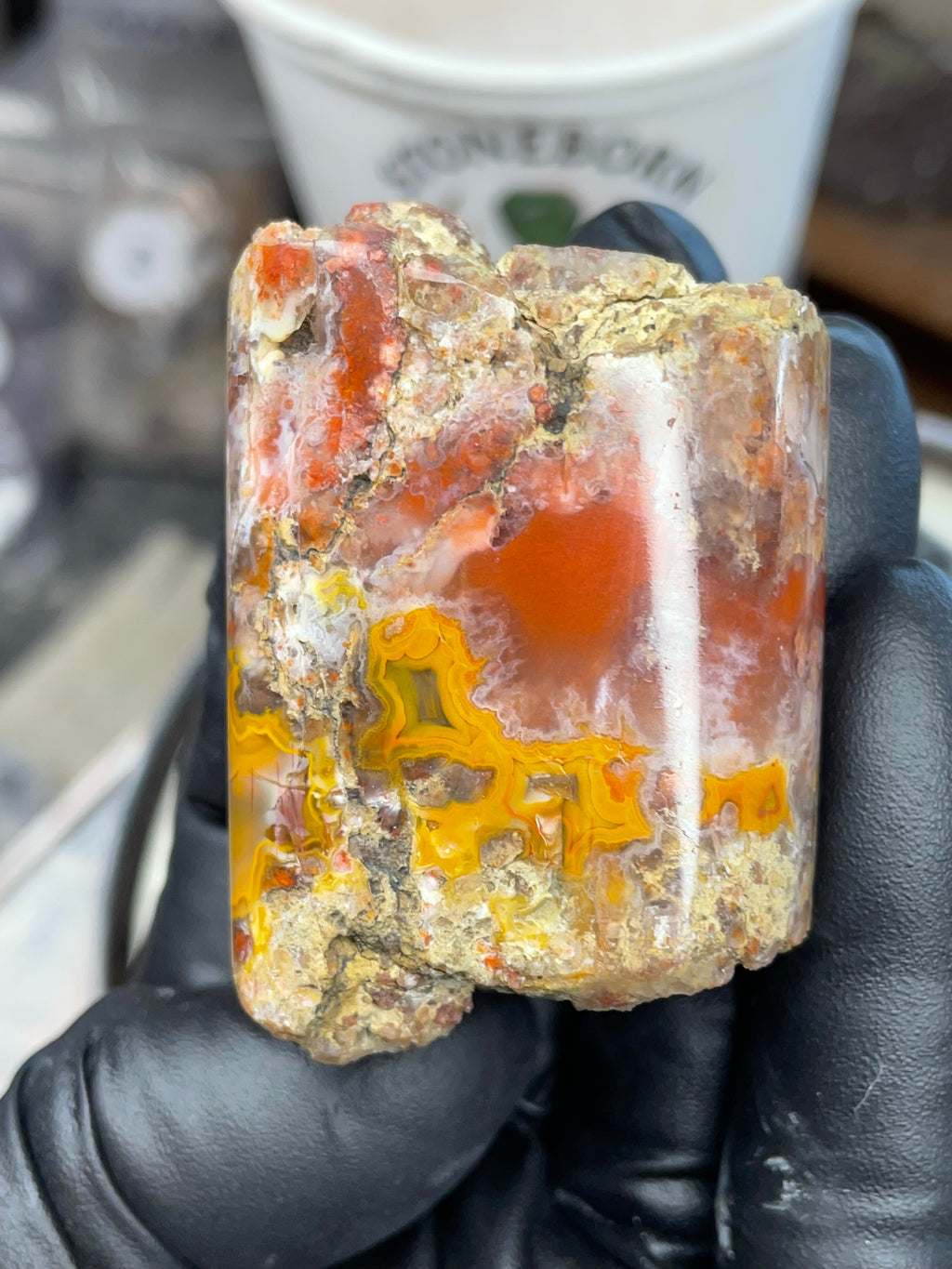 Hand-Polished Banded Agate — Raw & Refined StoneBorn Piece