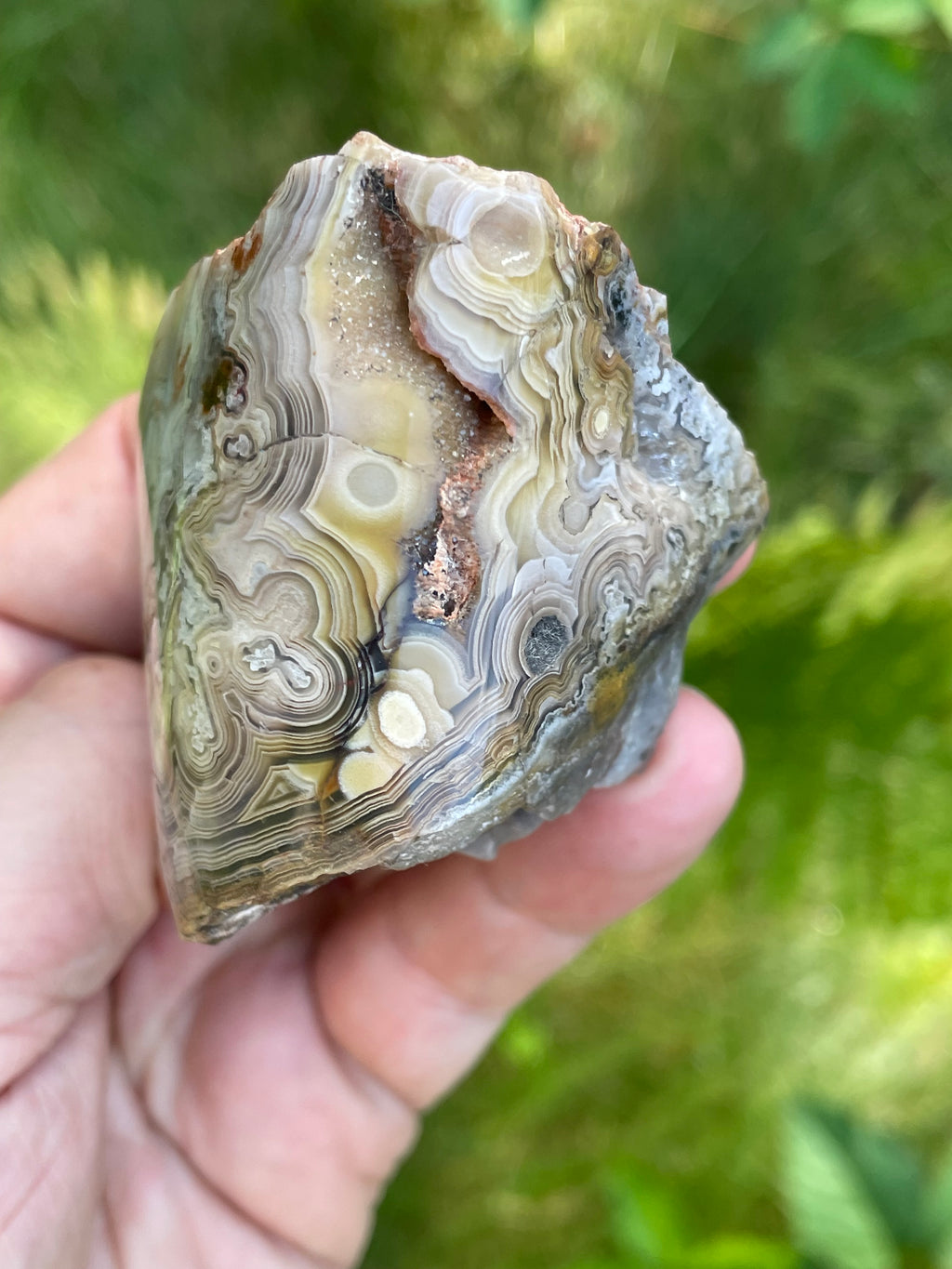 StoneBorn Creations Hand-Polished Lace Agate Freeform with Intricate Fortification Banding, Orbicular Eyes & Natural Druzy Quartz Pocket