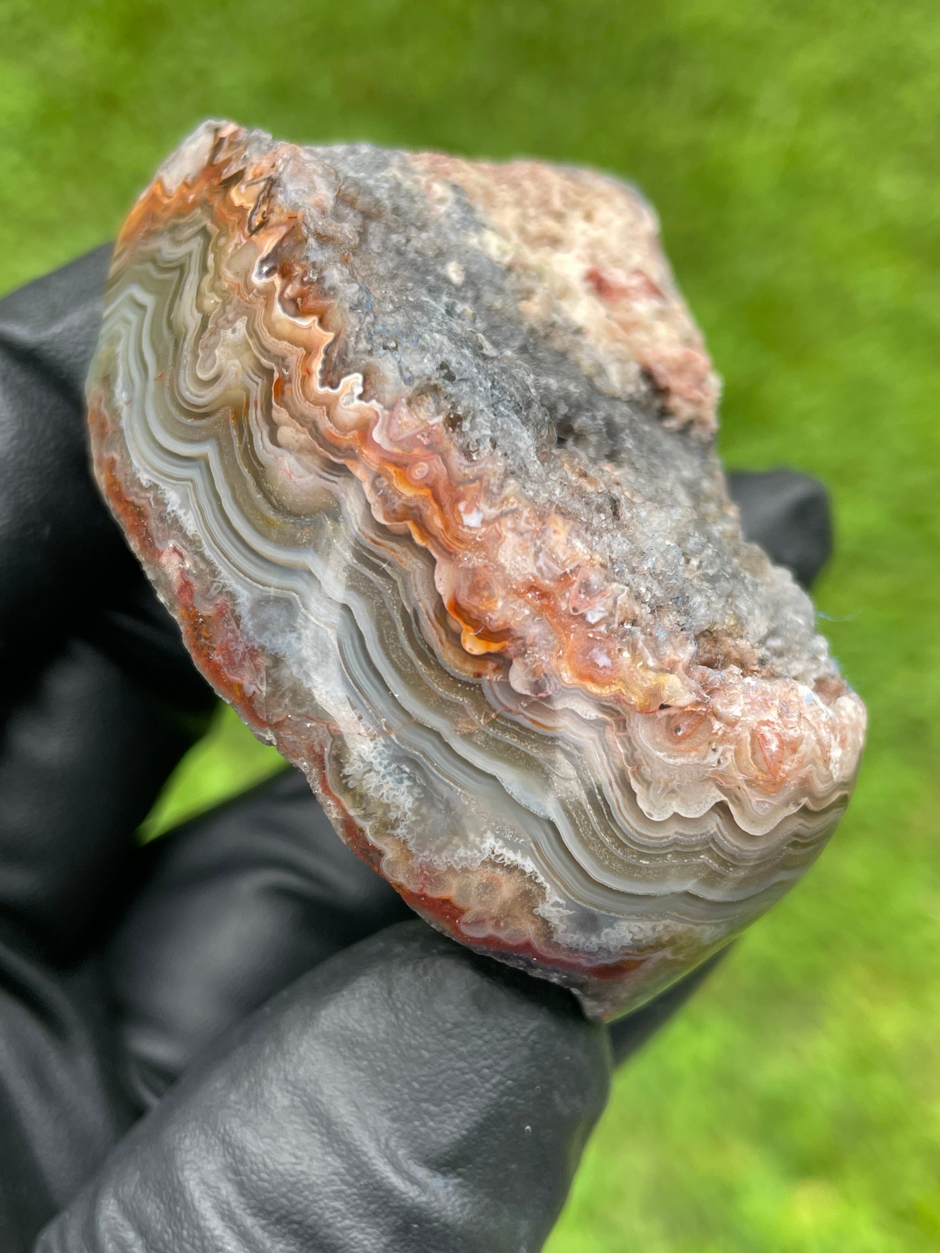 StoneBorn Creations Hand-Polished crazy Lace Agate Freeform