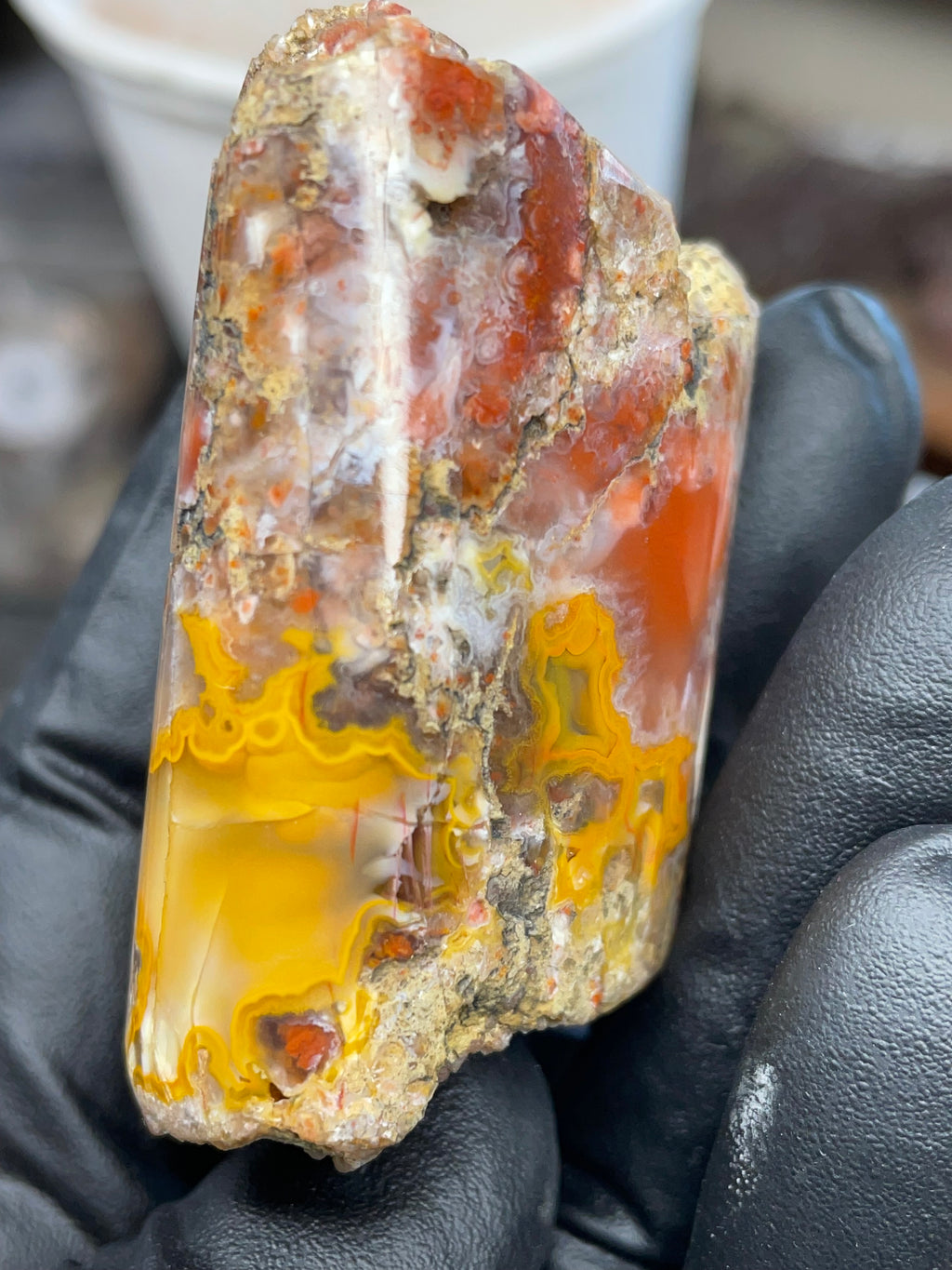 Hand-Polished Banded Agate — Raw & Refined StoneBorn Piece