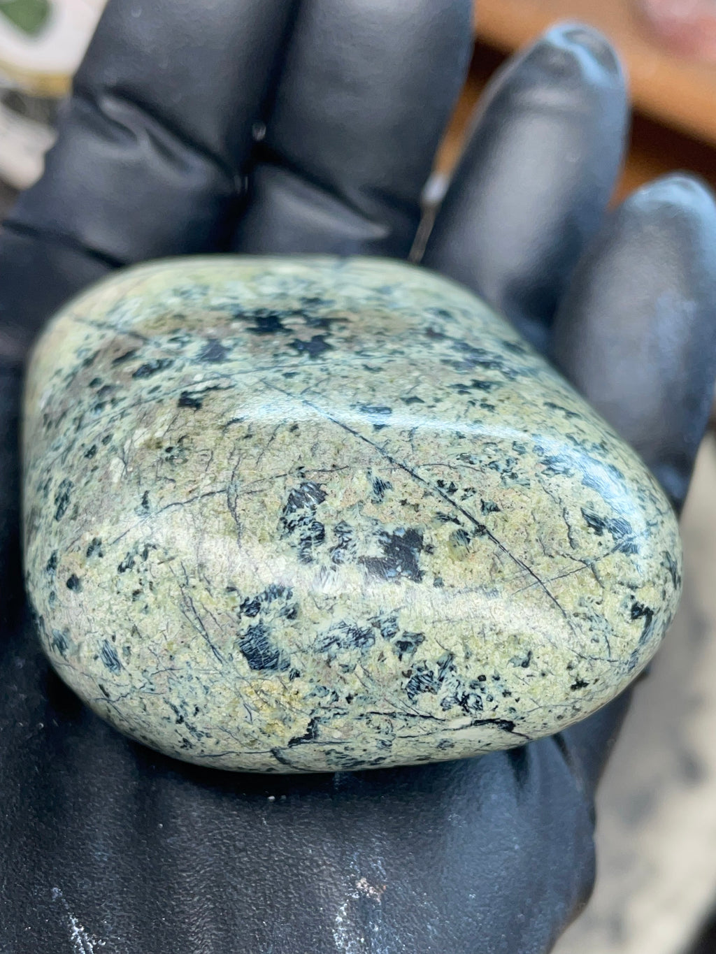 Hand Polished Veined Serpentine • StoneBorn Original