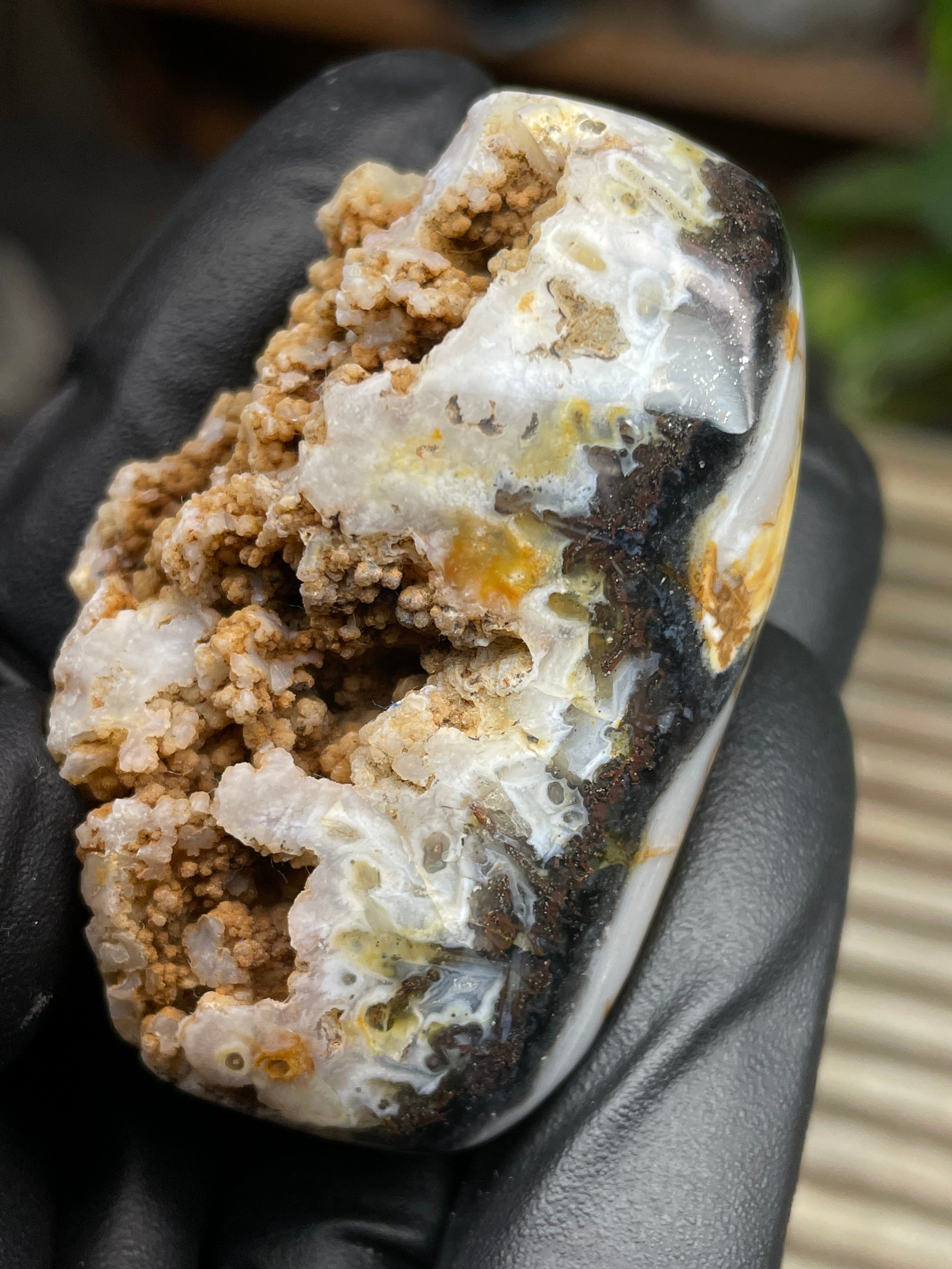 StoneBorn Creations Hand-Polished Crystal Pocket Agate Freeform | Raw Druzy Crown | Natural Chalcedony & Earth Tones