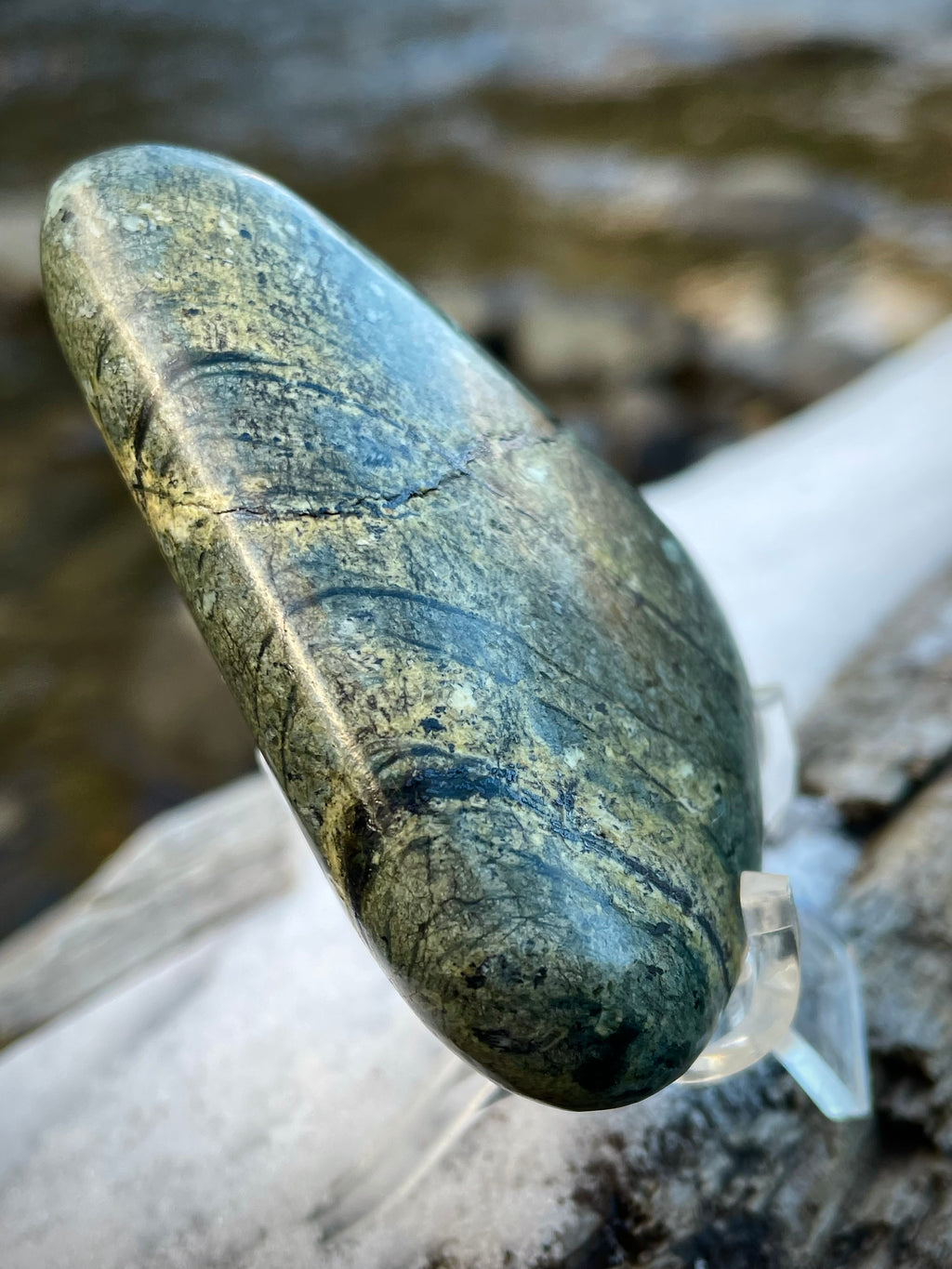 🌲 Polished Vermont Greenstone – Glacial Streamlines & Earth-Tone Veins (Hand-Collected & Polished)