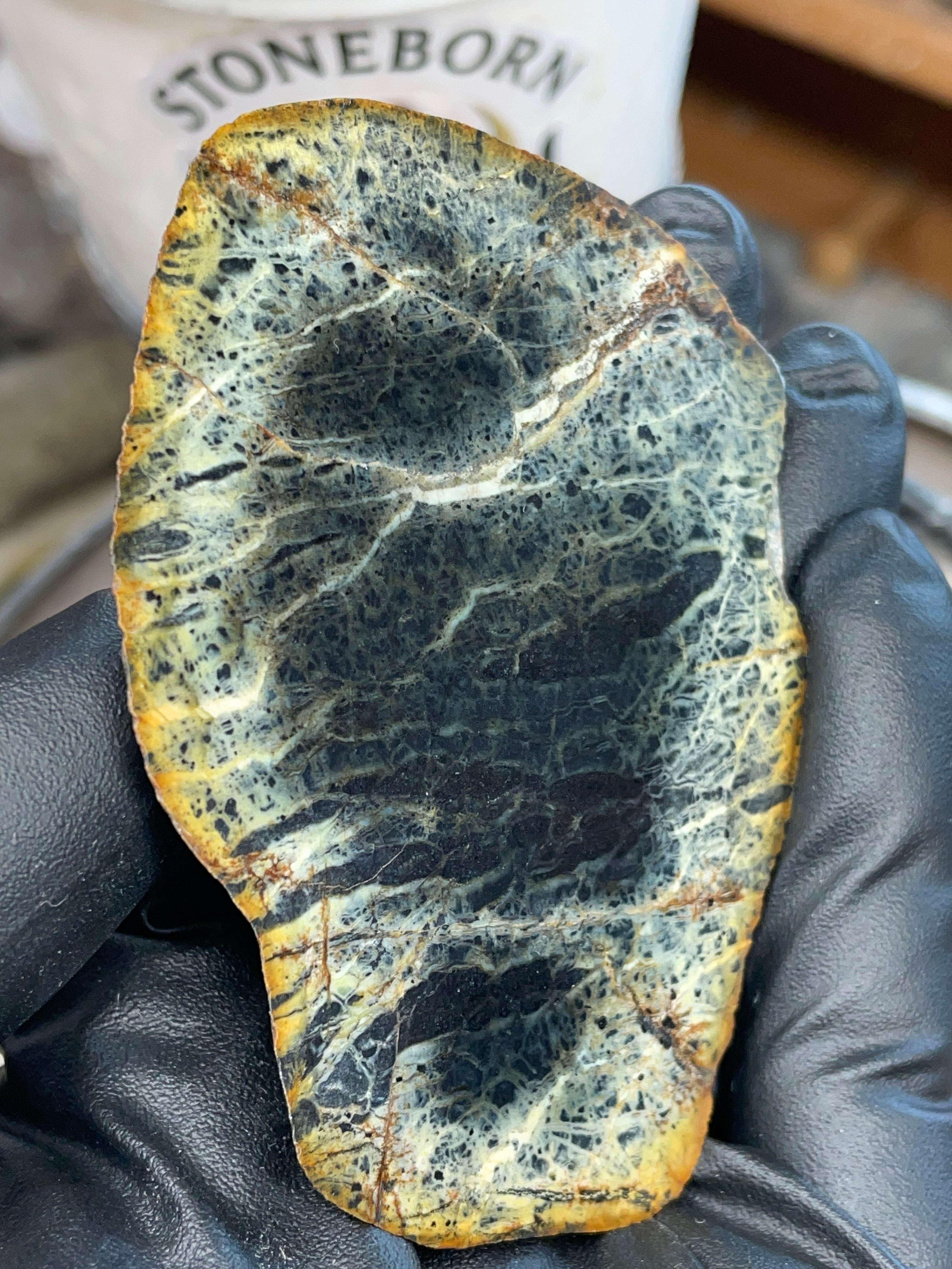 StoneBorn “Midnight Web” Greenstone Slab (One-Side Polished)
