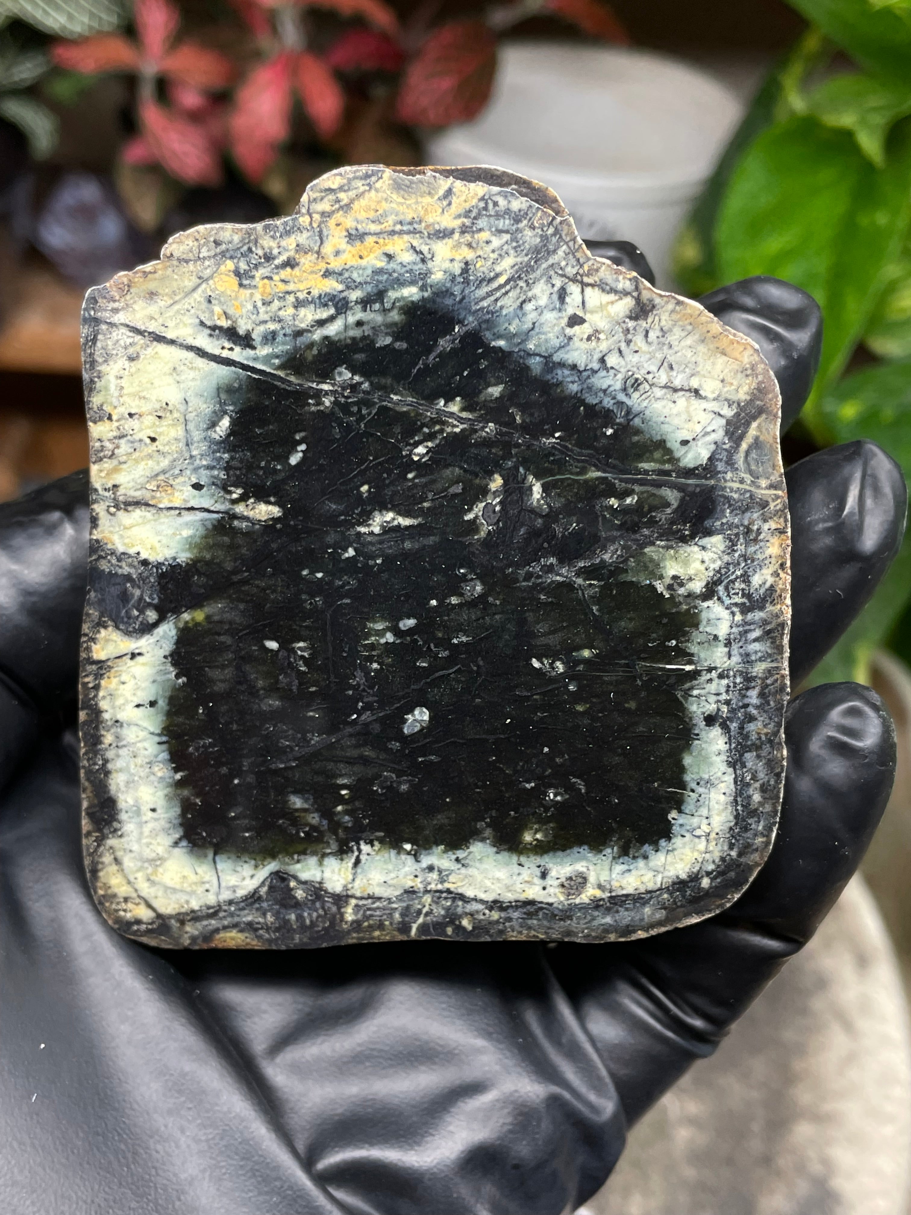 StoneBorn Creations Hand-Polished Vermont Serpentine Pair – River-Cut Matching Halves with Dark Core & Natural Green Halo
