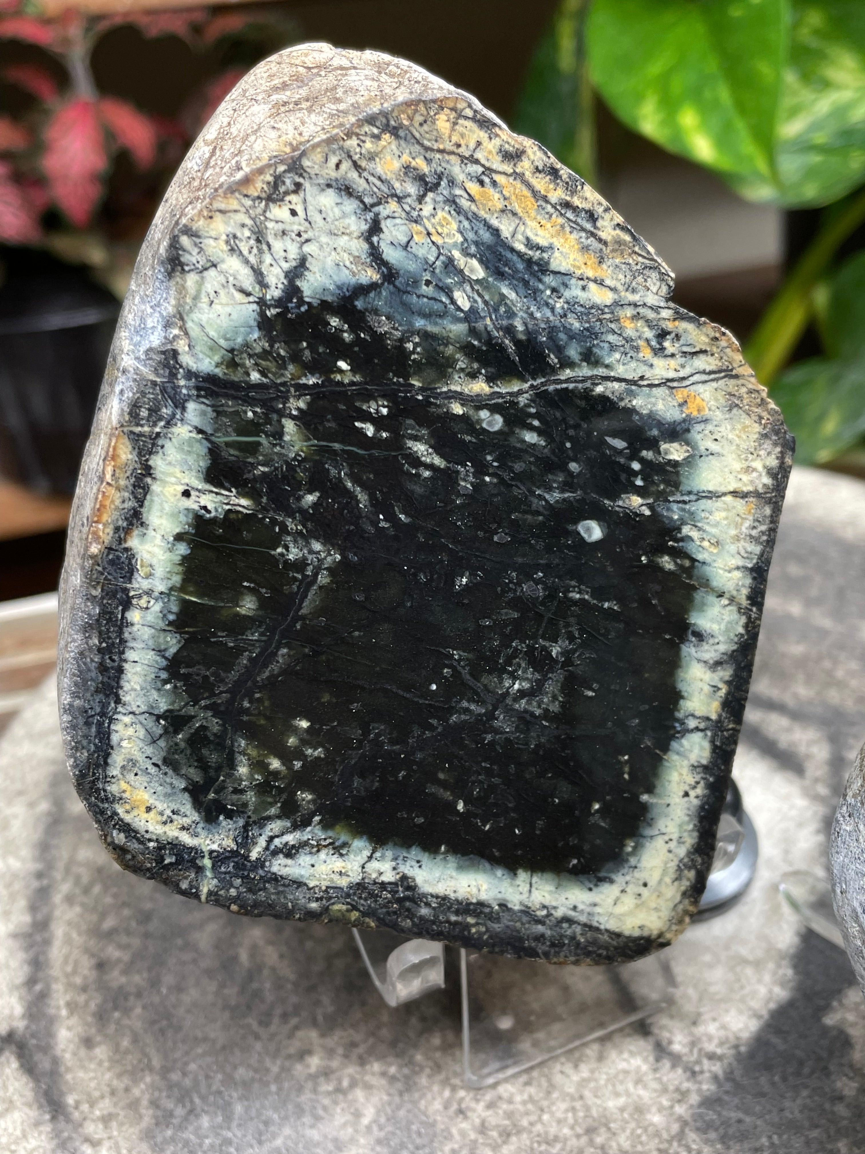 StoneBorn Creations Hand-Polished Vermont Serpentine Pair – River-Cut Matching Halves with Dark Core & Natural Green Halo