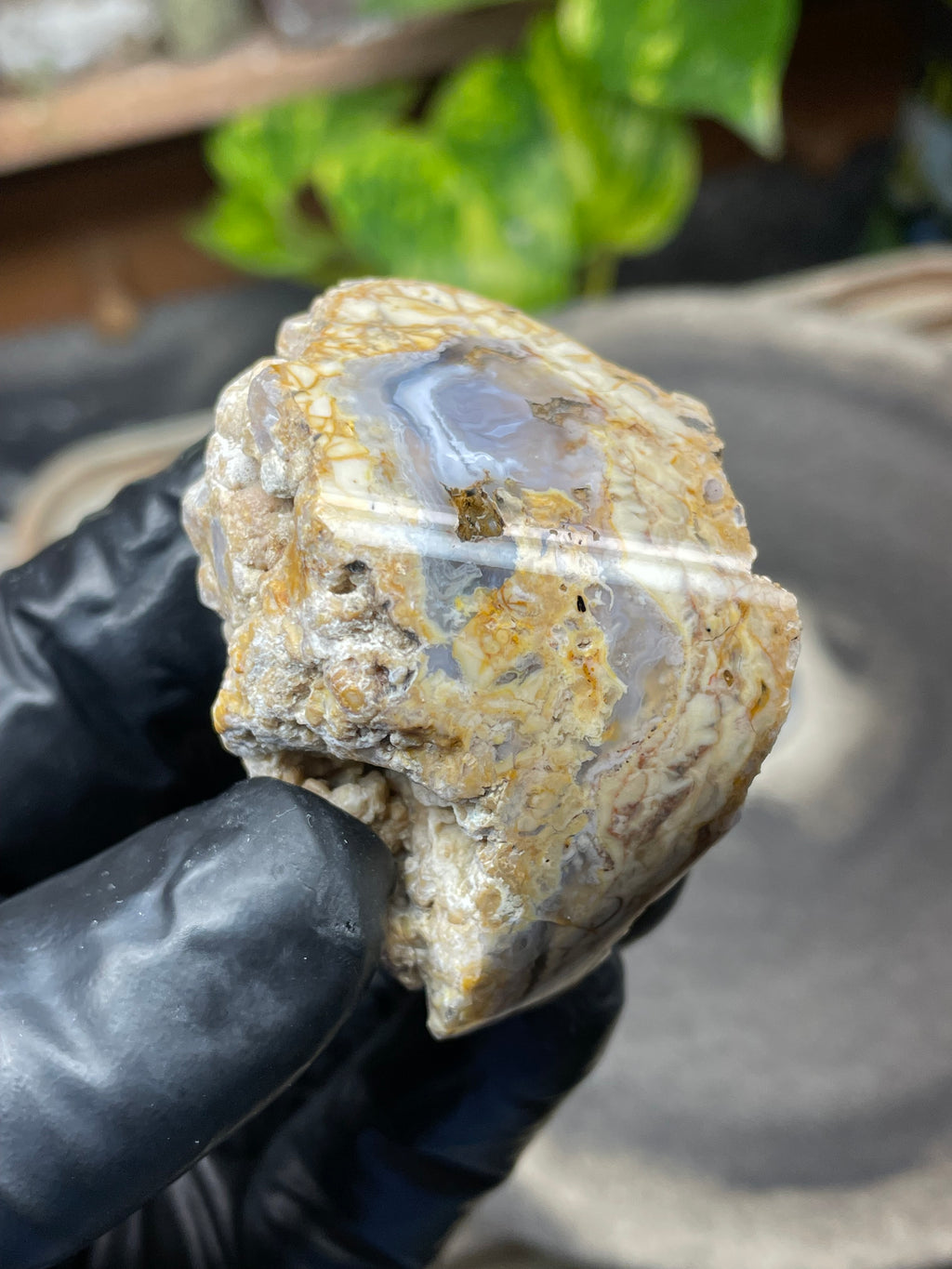 StoneBorn Creations Hand-Polished Curved Lace Agate with Natural Cream, Gold & Gray Banding – One-of-a-Kind Display Stone