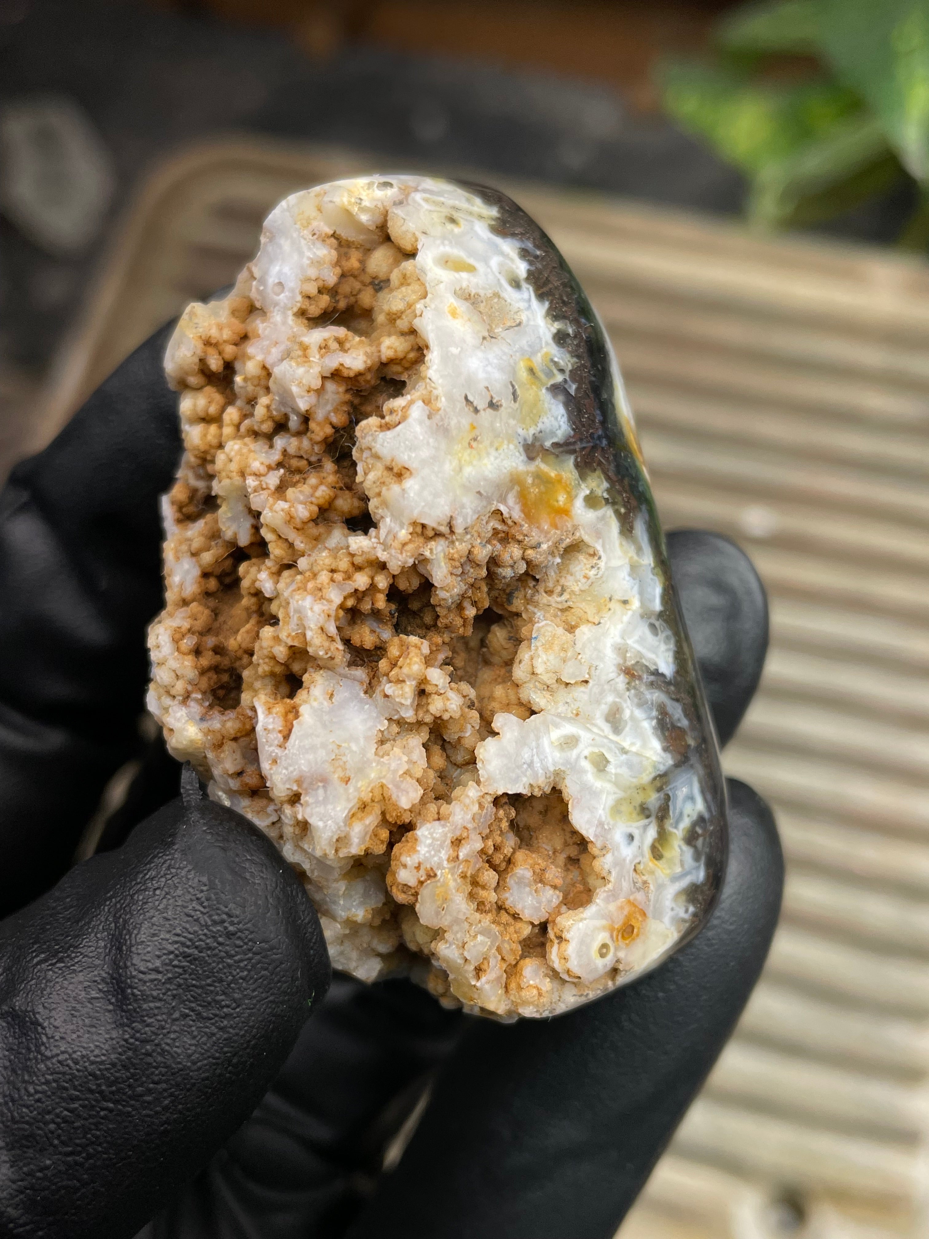 StoneBorn Creations Hand-Polished Crystal Pocket Agate Freeform | Raw Druzy Crown | Natural Chalcedony & Earth Tones
