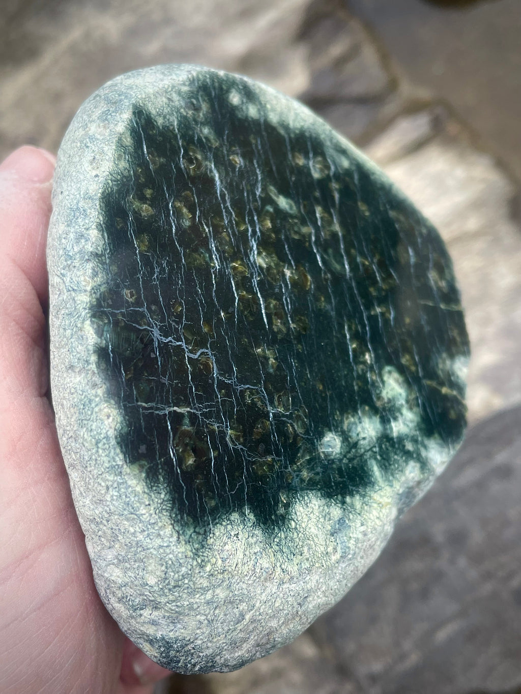 🌲 Polished Vermont Greenstone – Deep Forest Ripple Pattern (Hand-Collected & Polished)