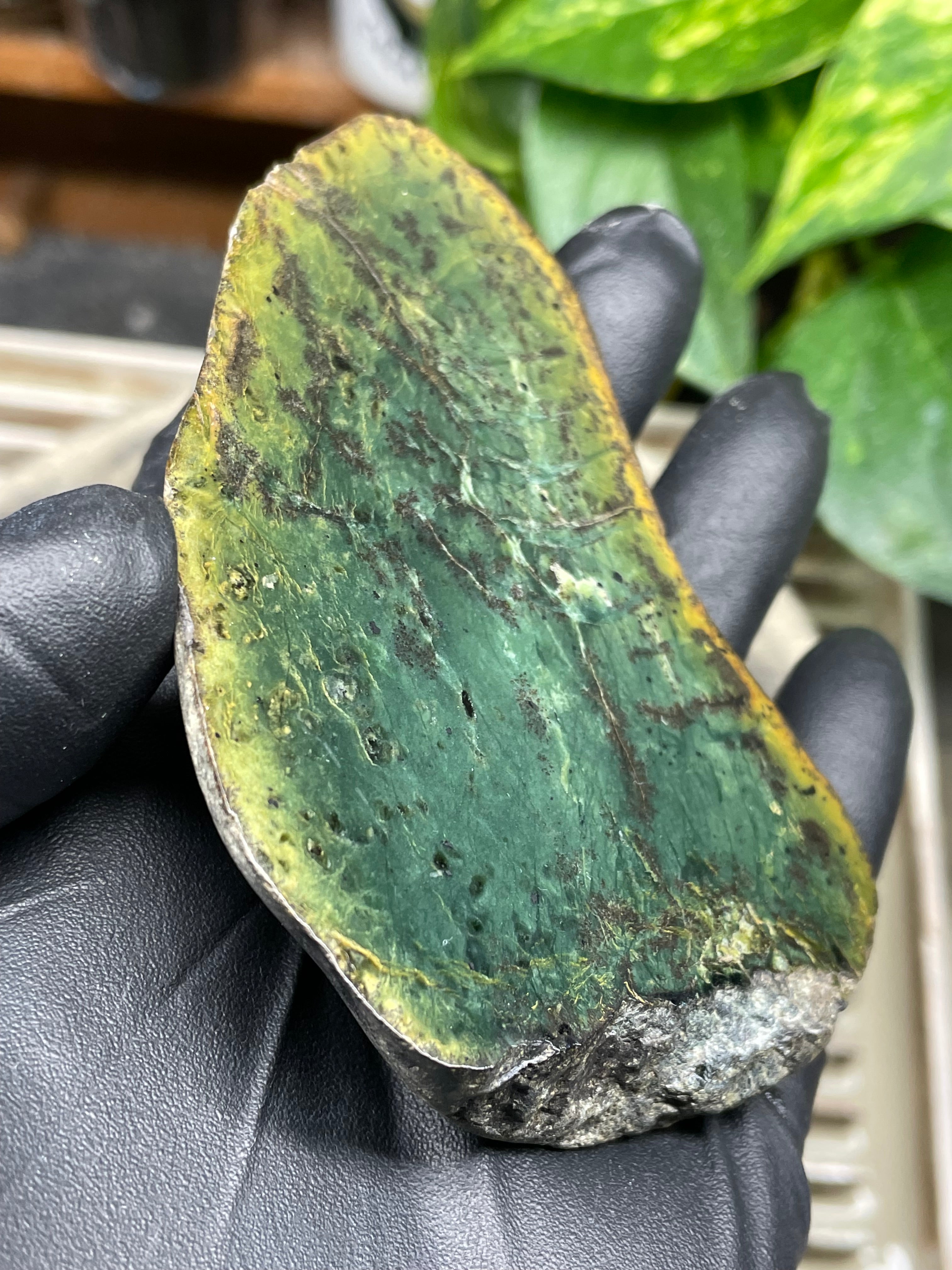 StoneBorn Creations Hand-Polished Vermont Greenstone Pair – Deep Emerald Interior Freeform Halves with Natural Earthy Matrix
