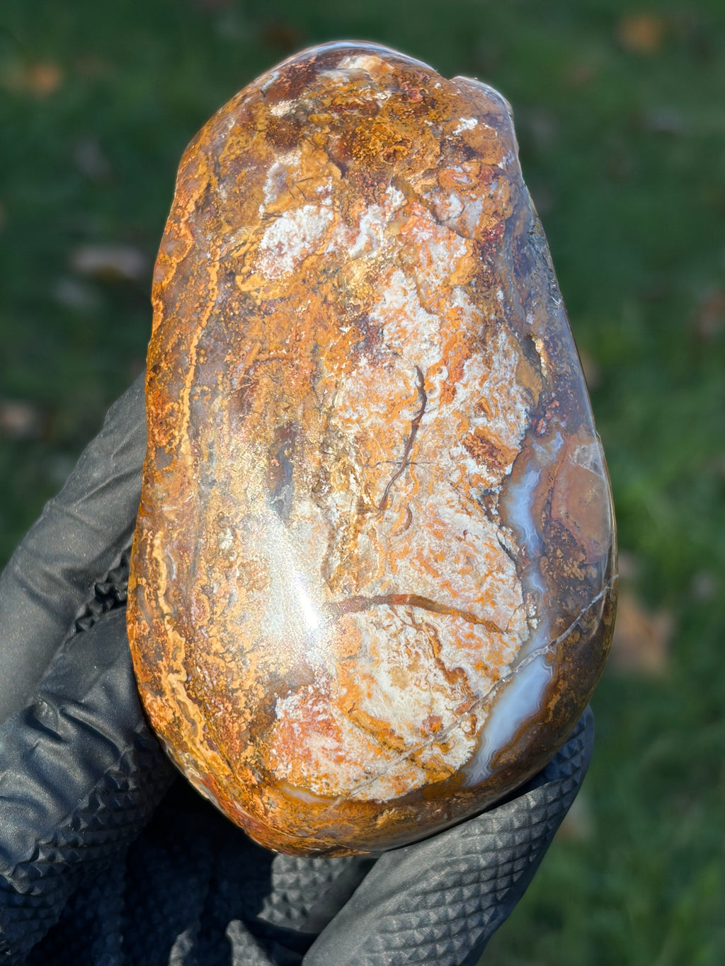 StoneBorn Creations – Natural Agate & Jasper Display Stone | Hand-Polished with Blue-Gray Agate Veins