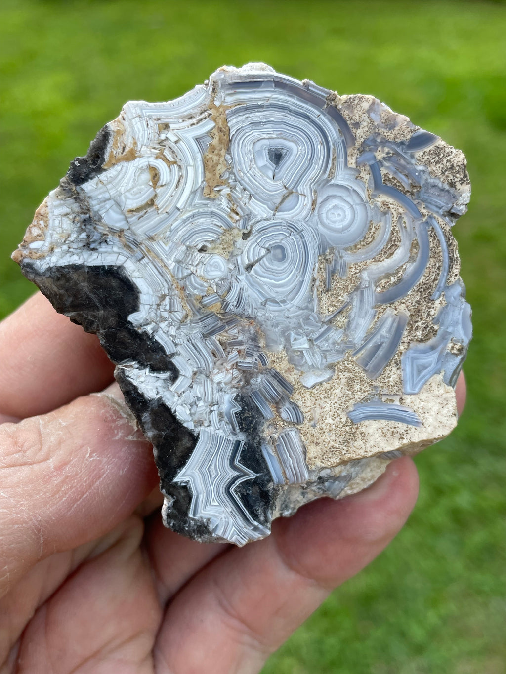 StoneBorn Creations Hand-Polished Tuxedo Lace Agate Bookmatched Pair | One-of-a-Kind Natural Display Stones