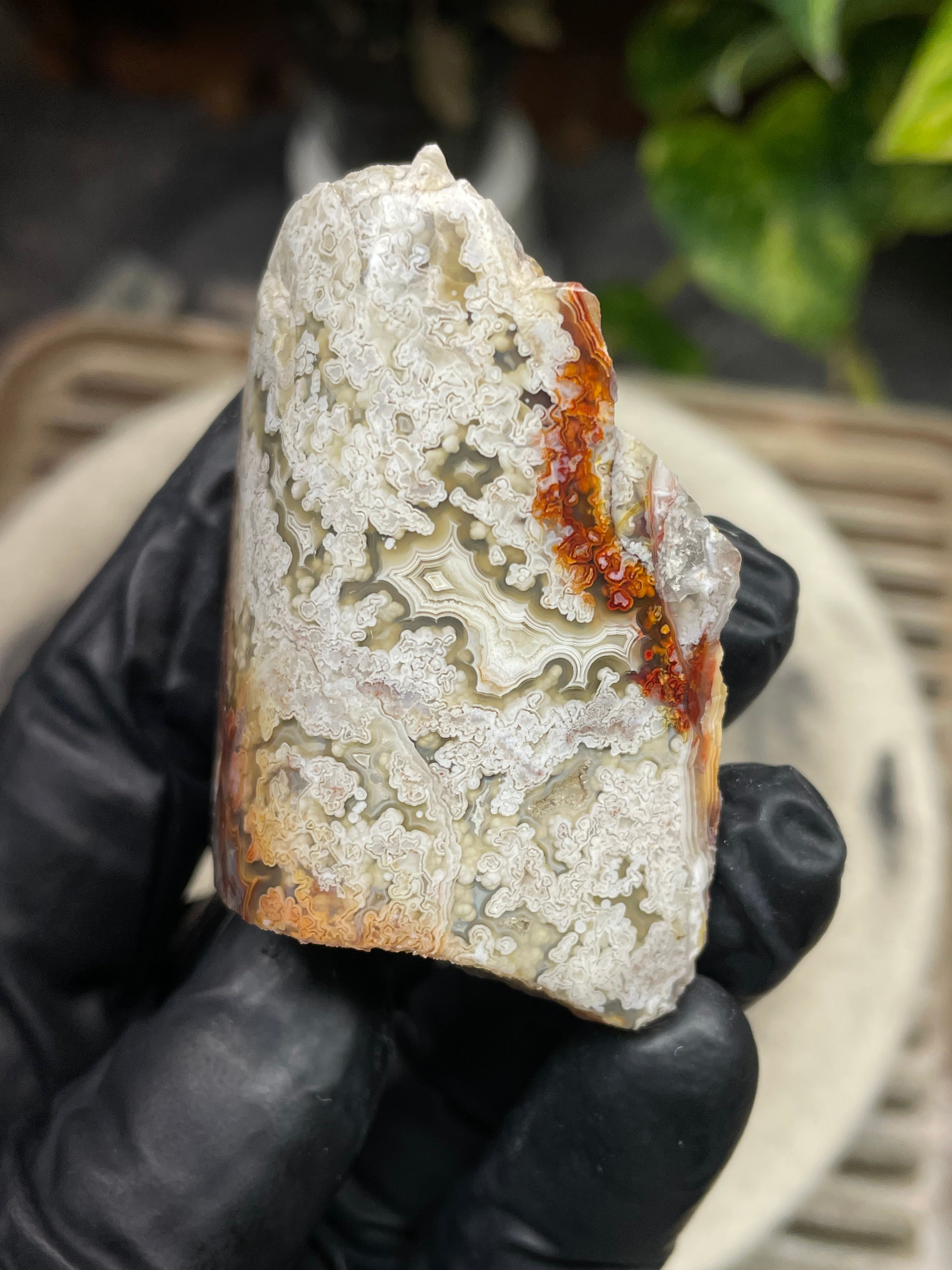 StoneBorn Creations Hand-Polished Lace Agate with Intricate White Plume Banding, Earth Tones & Natural Freeform Finish