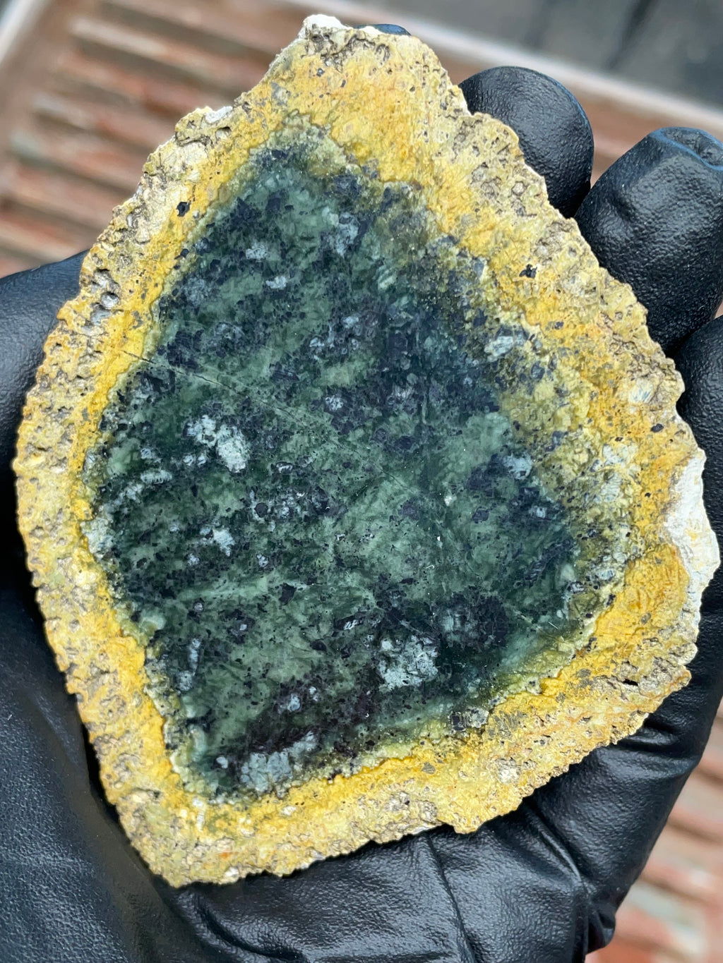 StoneBorn Creations | Polished Vermont Greenstone Slab — Deep Green Core with Golden Weathered Rind