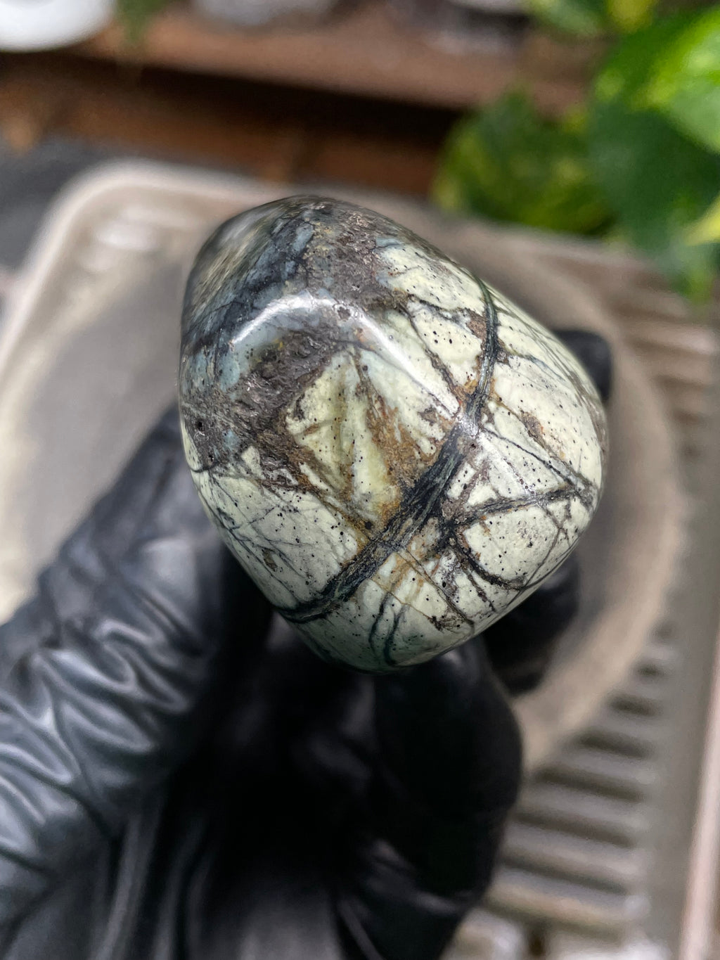 StoneBorn Creations Hand-Polished Vermont Serpentine with Spiderweb Veining, Soft Ivory Green Tones, and Natural Earth Markings