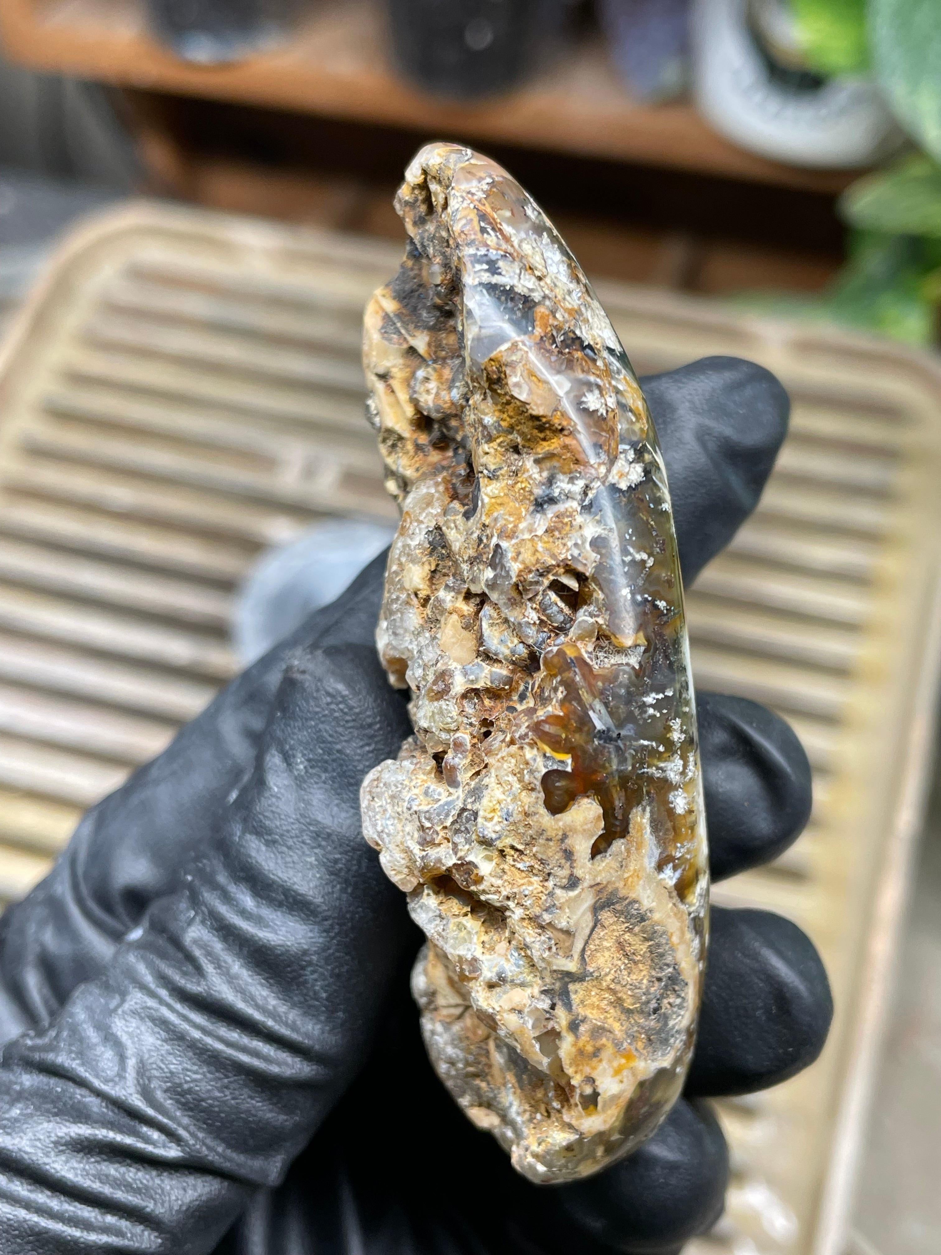 StoneBorn Creations Hand-Polished Trent Agate Freeform with Creamy Plume Inclusions, Druzy Cavities & Earth-Toned Chalcedony