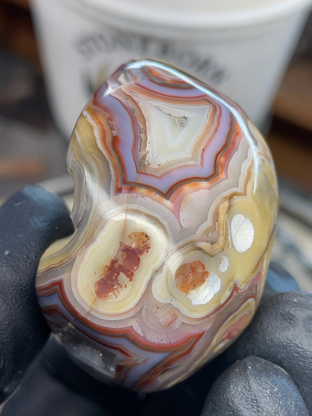 StoneBorn Banded Agate with Natural Druzy Pocket