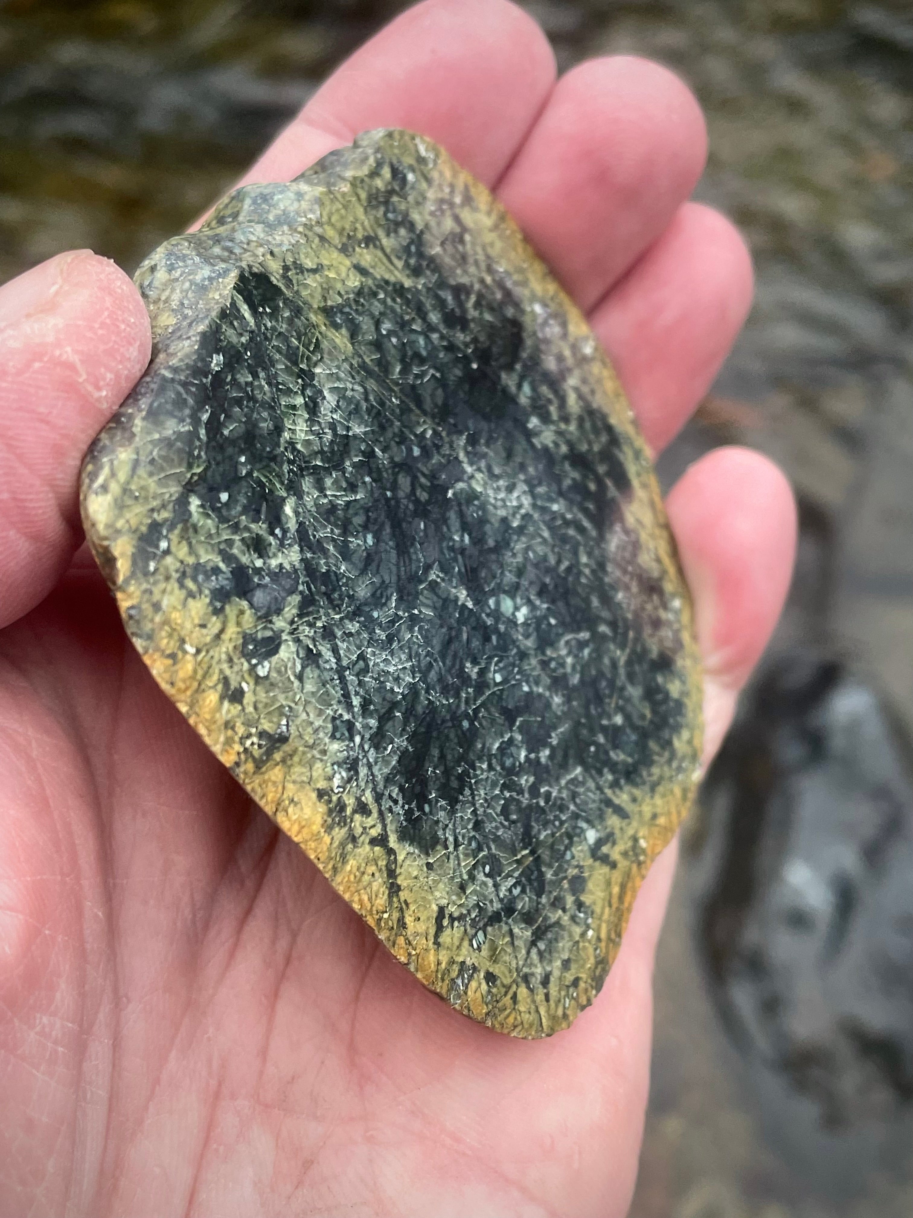 🌲 Hand-Polished Vermont Green Serpentine Slice – Deep Forest Patterning