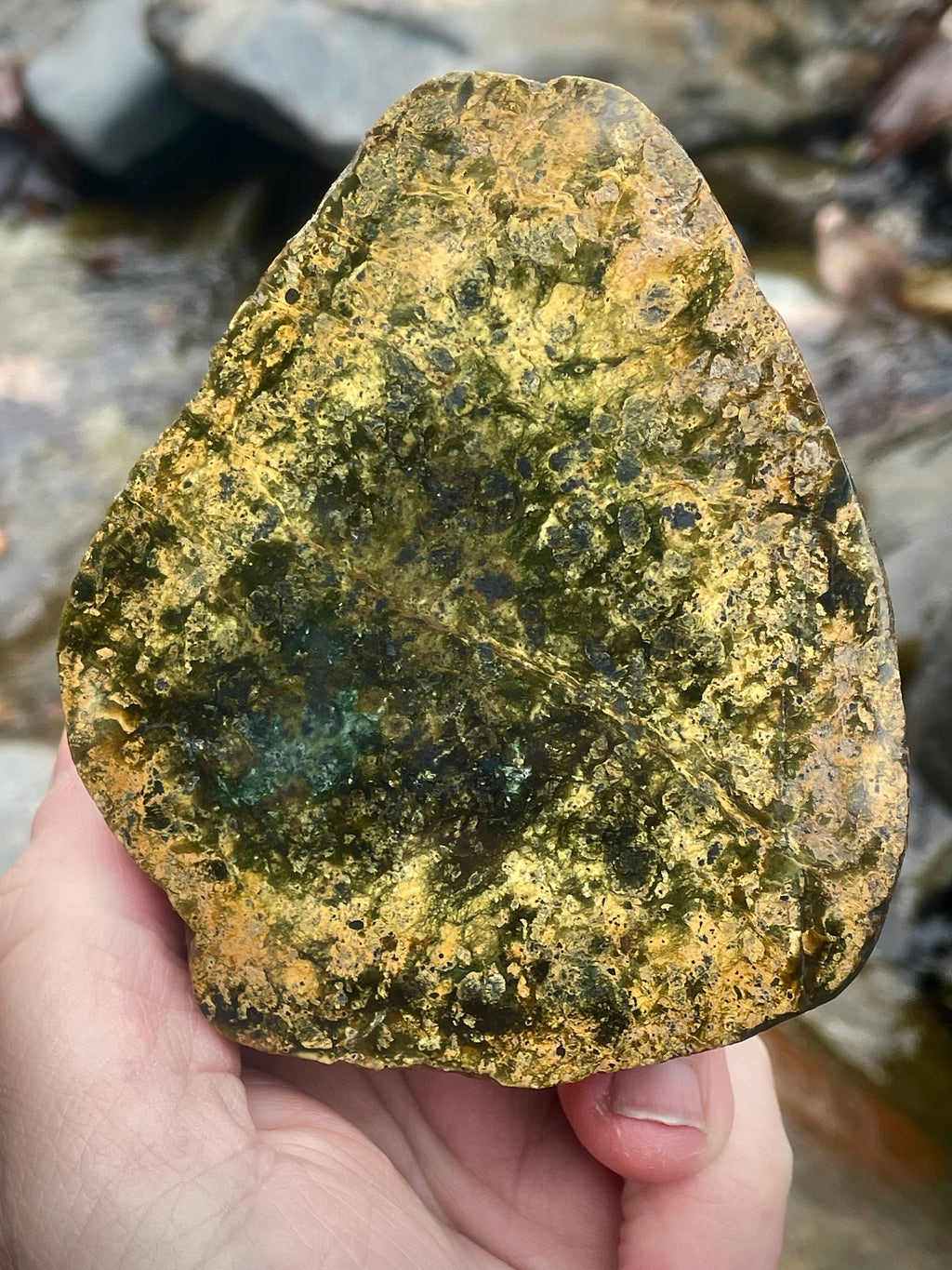 ✨ Golden Forest Glow — Polished Vermont River Stone (One-of-One)