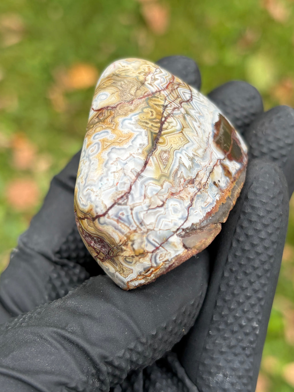 StoneBorn Creations – Crazy Lace Agate | Intricate Blue, Cream & Golden Banding | Hand-Polished Natural Stone