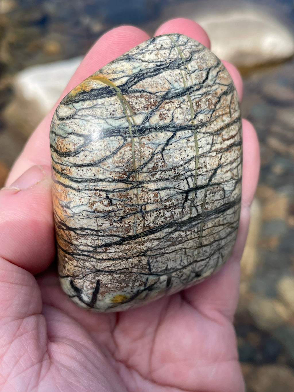 StoneBorn Creations Hand-Polished River Stone Freeform with Natural Black Webbing Patterns and Earthy Veining
