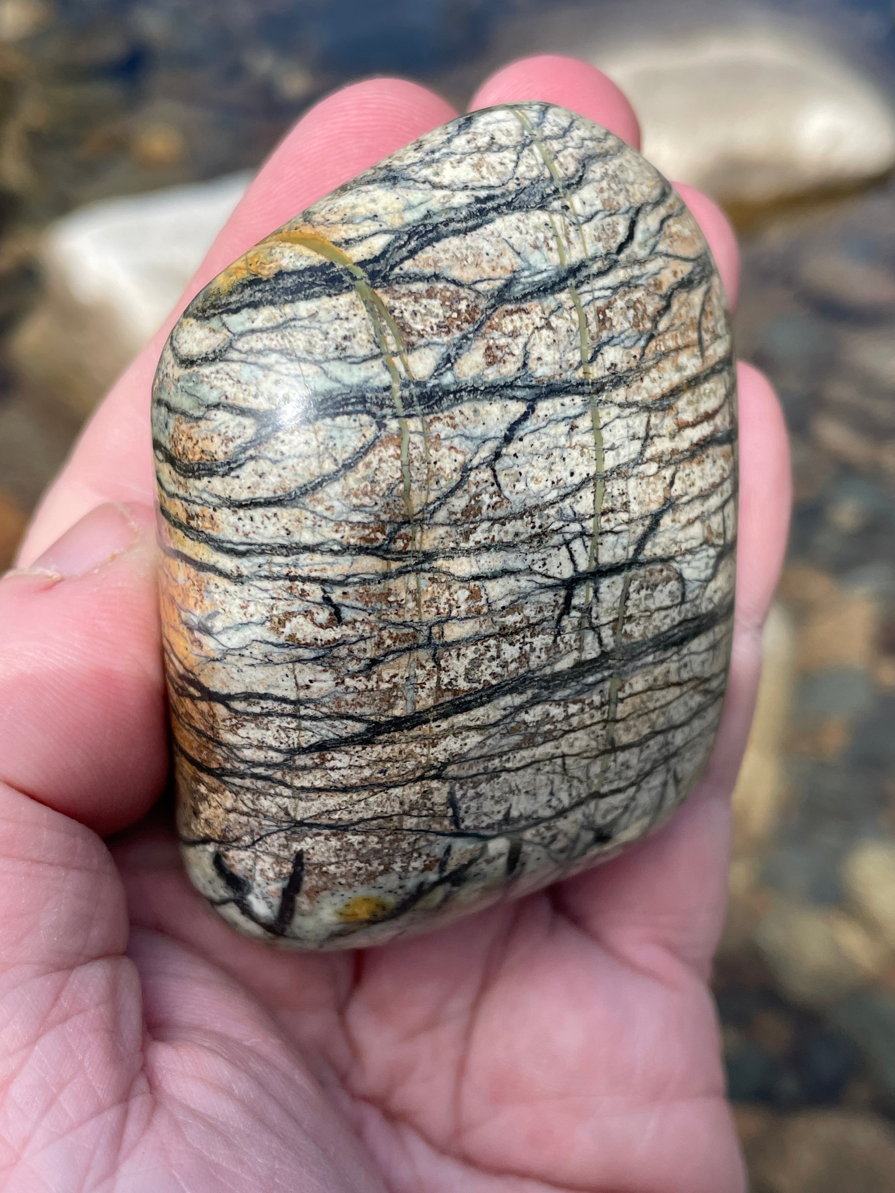 StoneBorn Creations Hand-Polished River Stone Freeform with Natural Black Webbing Patterns and Earthy Veining
