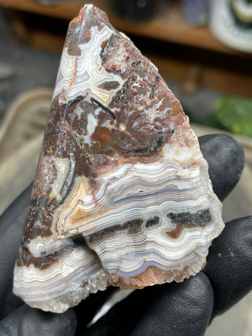 StoneBorn Creations Hand-Polished Lace Agate Freeform with Curved Polished Face, Intricate Fortification Banding & Natural Druzy Crystal Backing