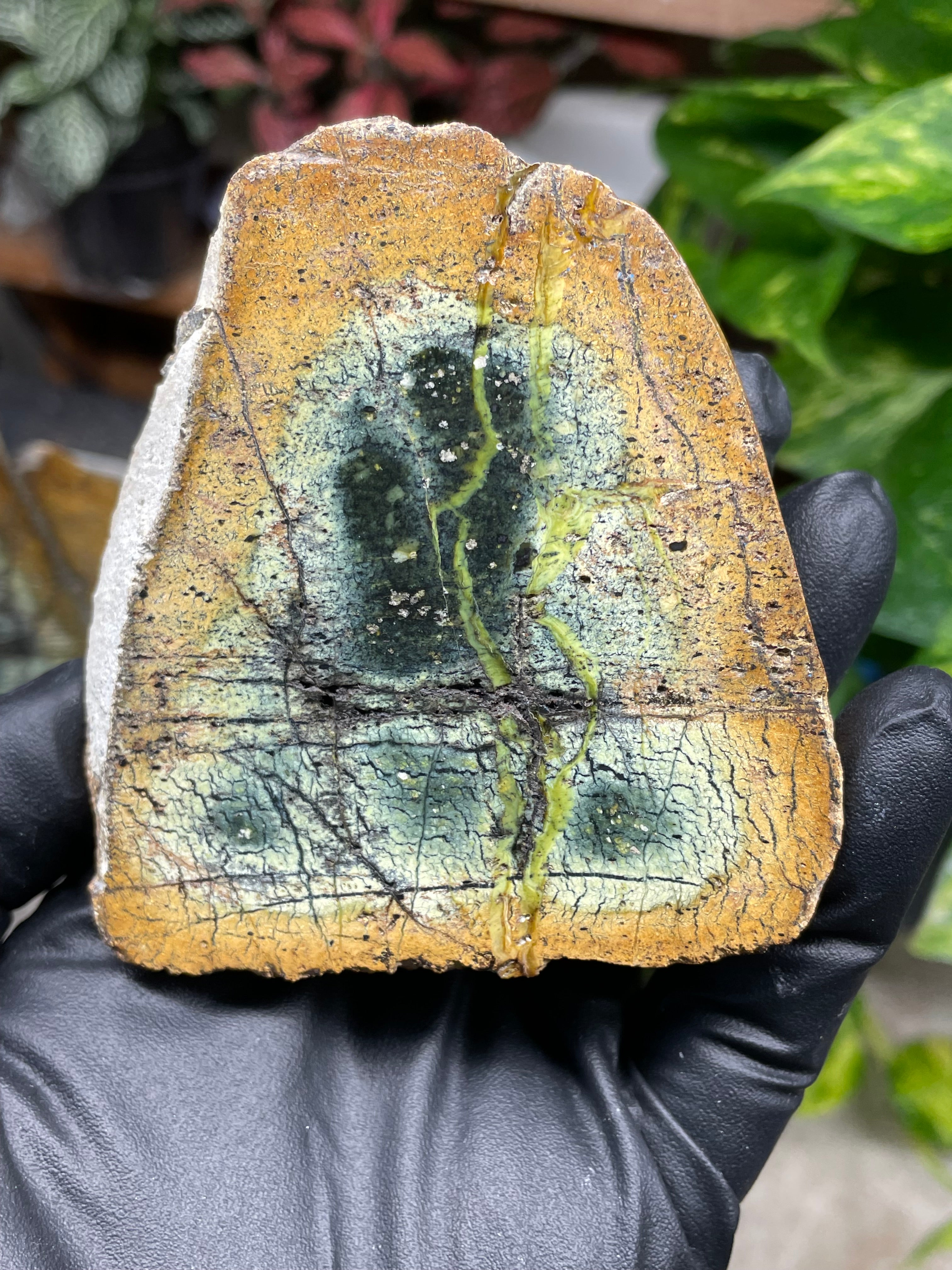 StoneBorn Creations Hand-Polished Vermont Serpentine Pair – River-Cut Matching Halves with Green Mineral Veins & Natural Fracture Patterns