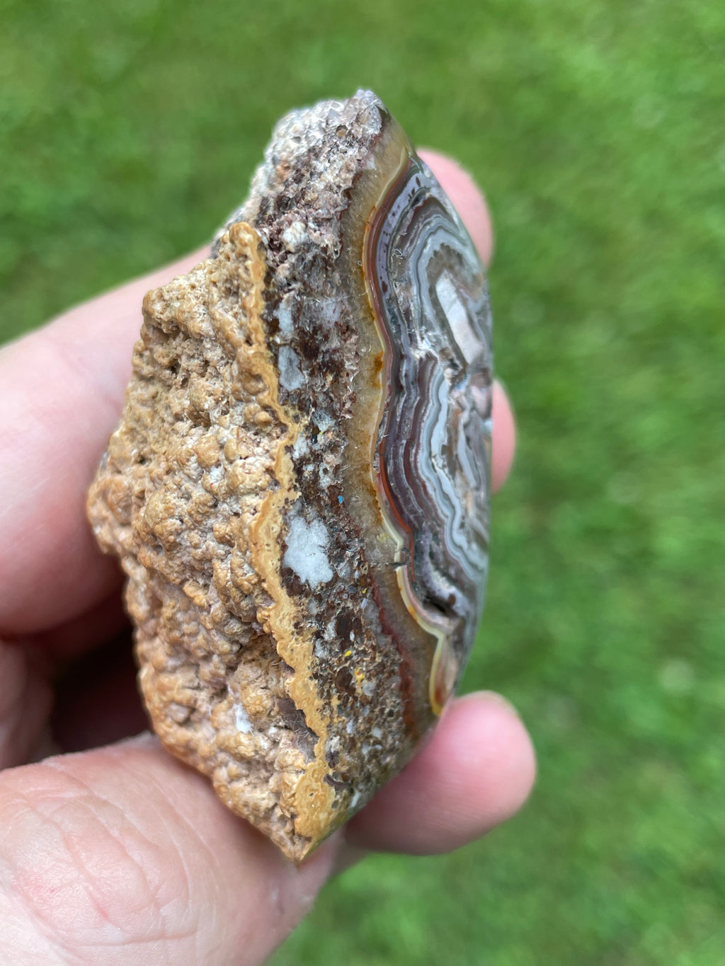StoneBorn Creations Hand-Polished Custom Shaped Lace Agate Freeform with Natural Druzy Quartz, Orbicular Eyes & Fortification Banding
