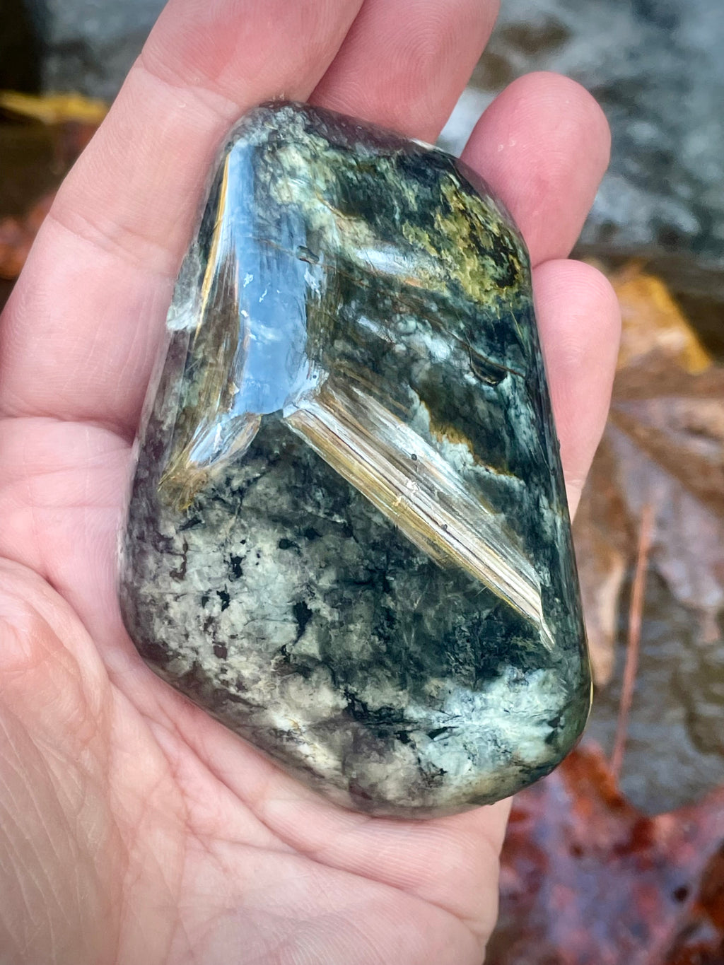 Polished Vermont Actinolite With Golden Tremolite Blades • Rare Crystal Formation