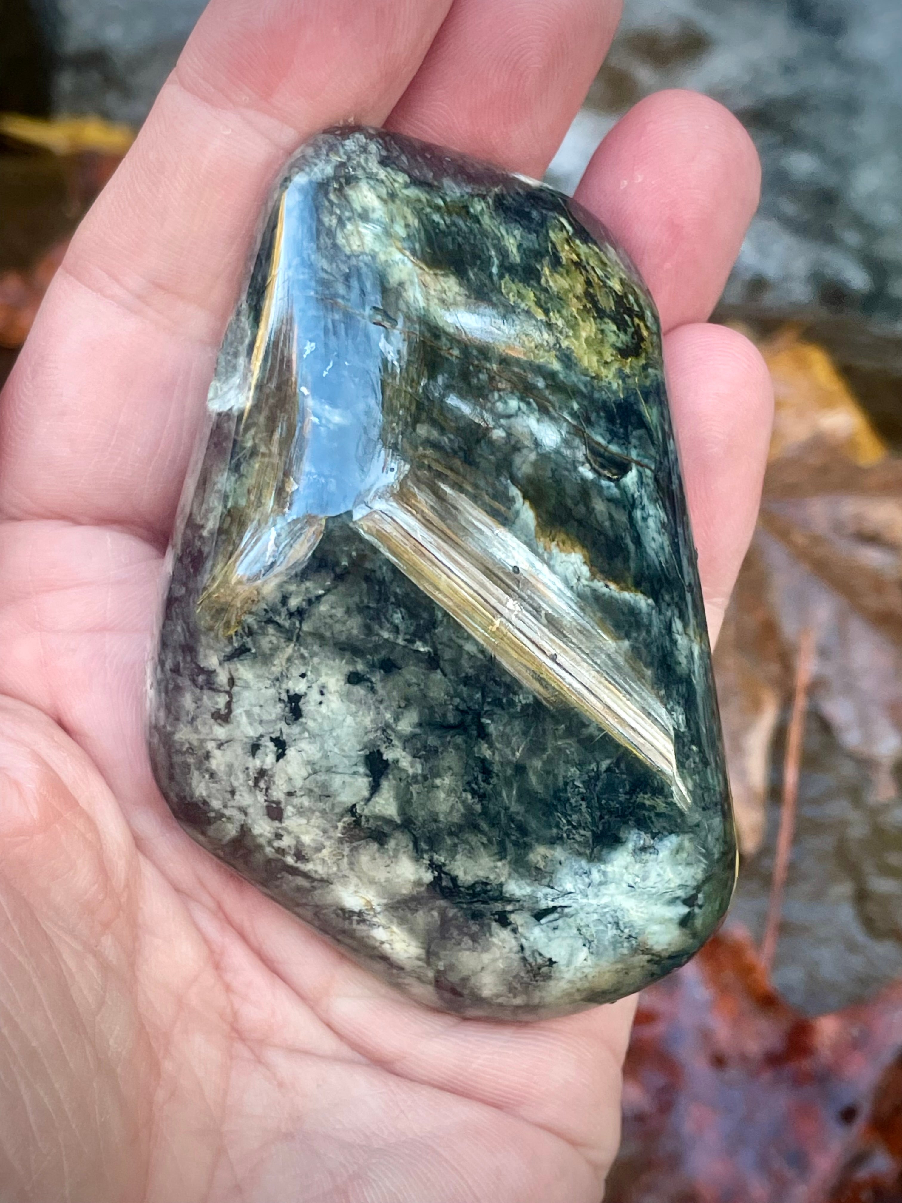 Polished Vermont Actinolite With Golden Tremolite Blades • Rare Crystal Formation