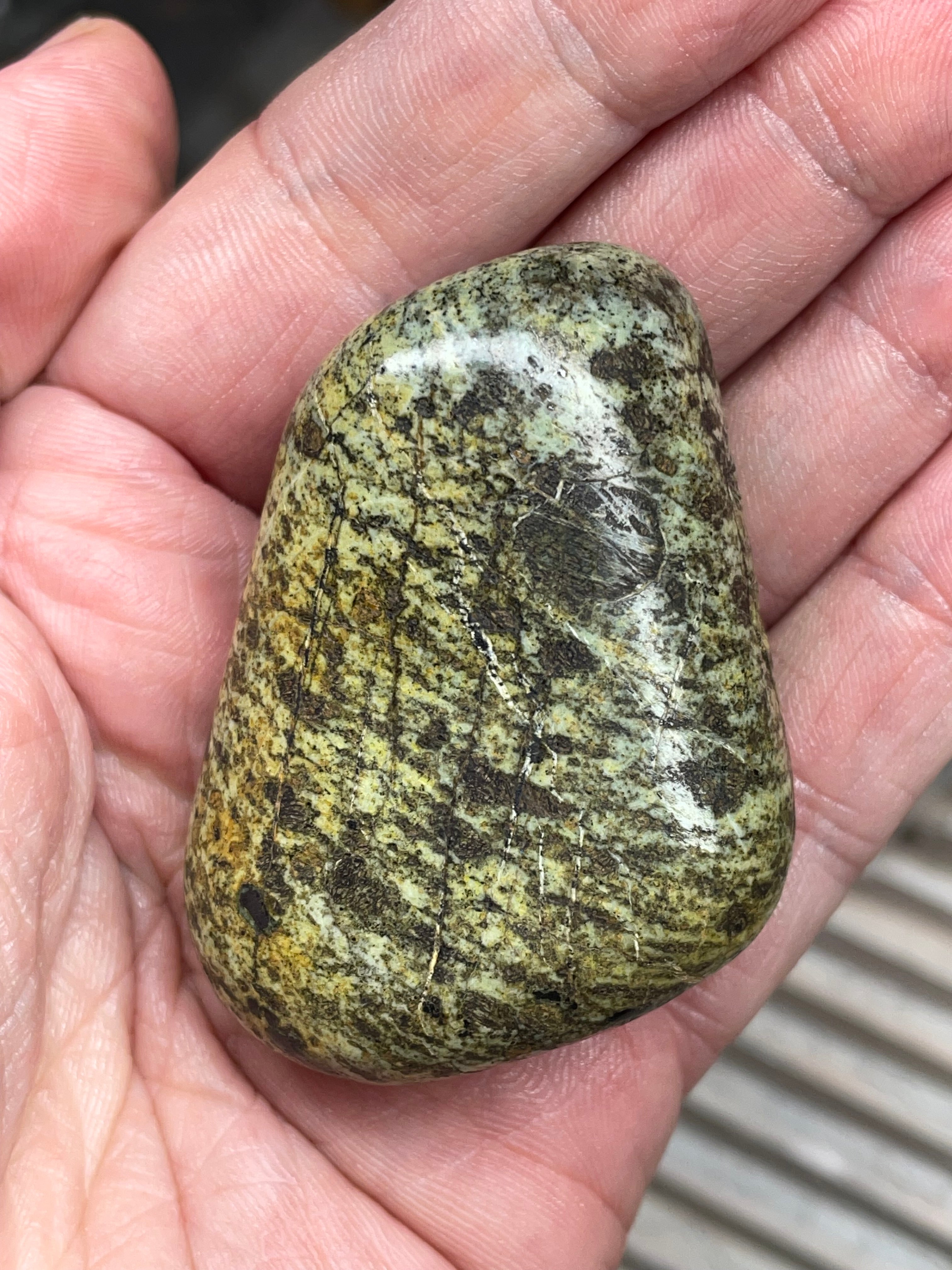 StoneBorn Creations • Hand-Polished Vermont Greenstone (Serpentine) • Moss & Shadow Speckle • Palm Stone
