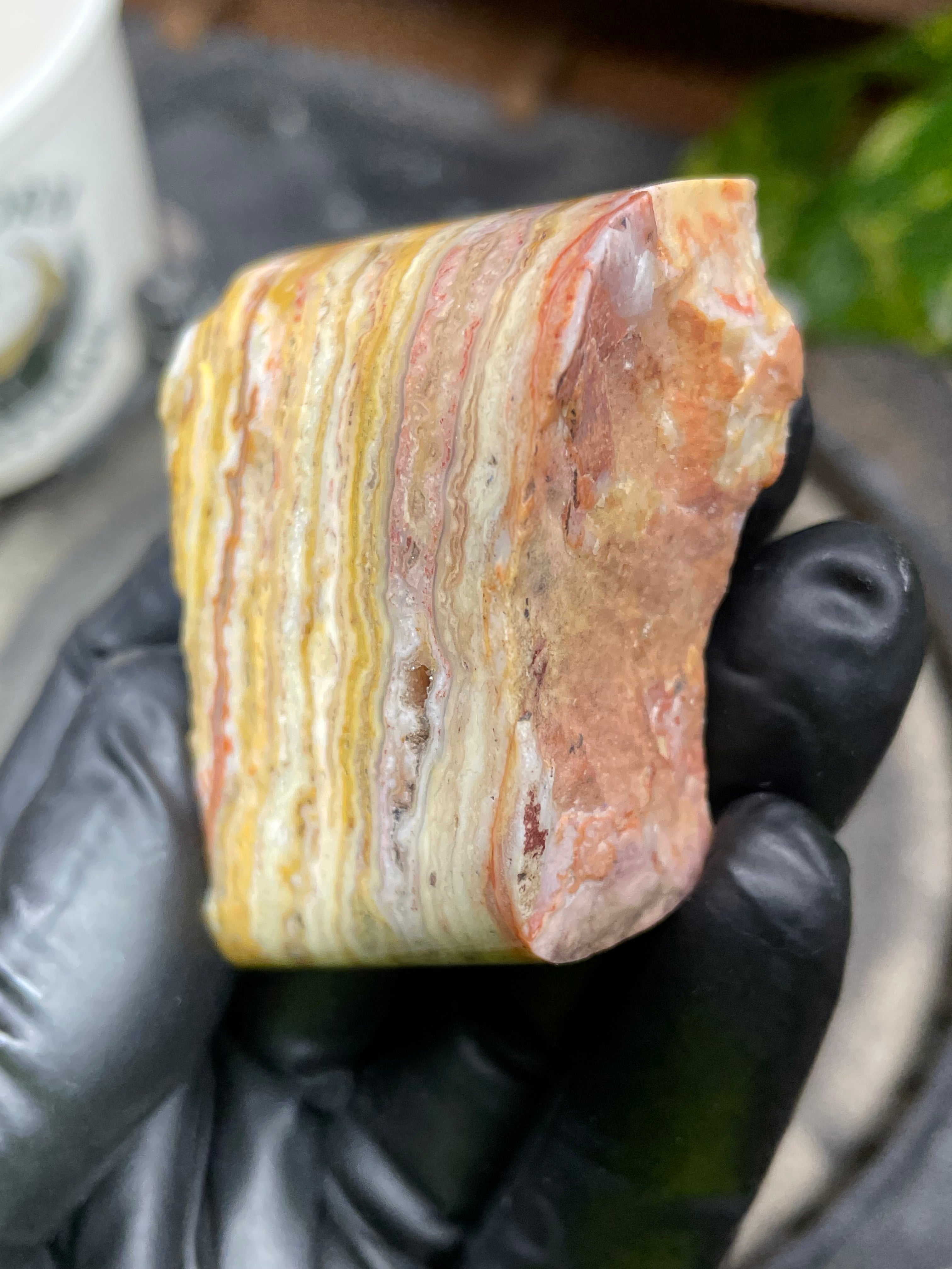 Hand-Polished Banded Agate with Warm Golden Layers and Intricate Lace Patterning